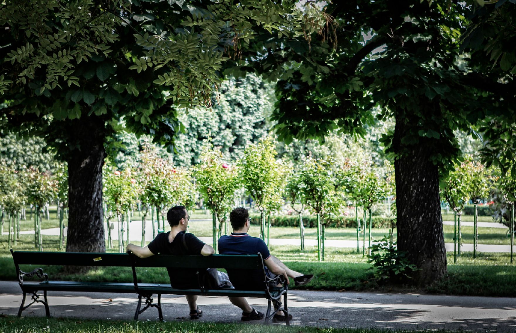 Zwei Männer sitzen auf einer Parkbank im Volksgarten in Wien. Schlagworte: Bänke, Bäume, Menschen, Natur, Park, Parkbank, Stadtlandschaft