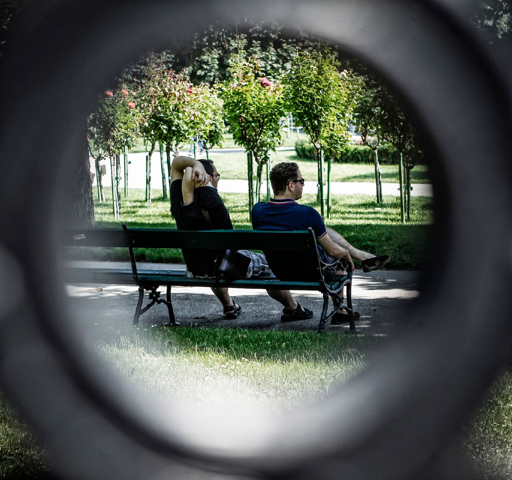 Zwei Männer sitzen auf einer Parkbank im Volksgarten in Wien. Schlagworte: Bänke, Bäume, Menschen, Natur, Park, Parkbank, Stadtlandschaft