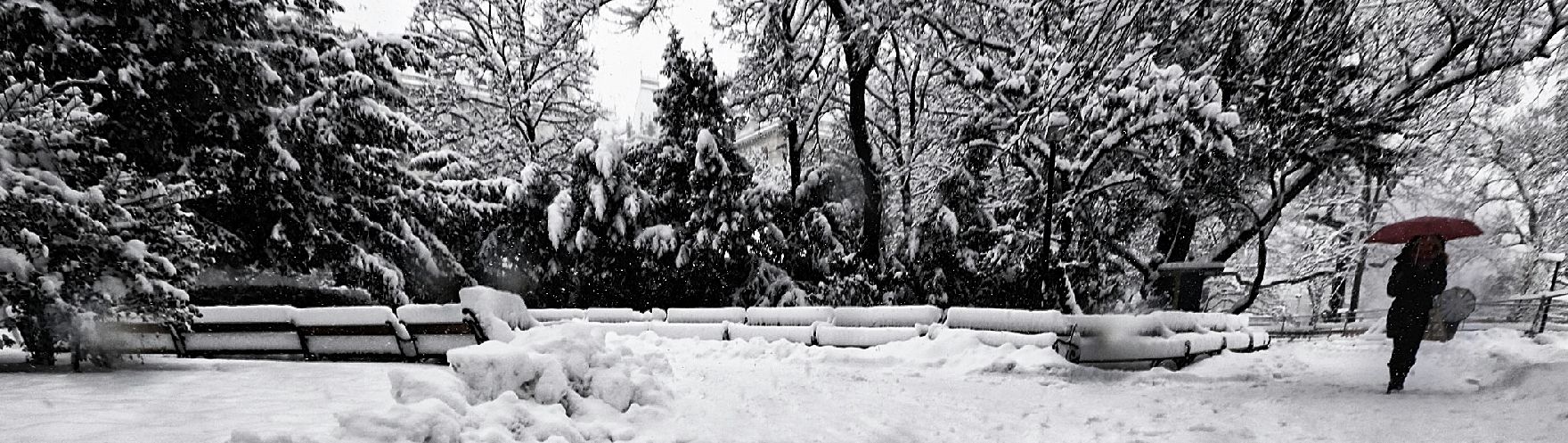 Eine winterliche Aufnahme des Rathausparks. Schlagworte: Bäume, Mensch, Natur, Regenschirm, Parkbänke, Schnee, Stadtlandschaft, Winter