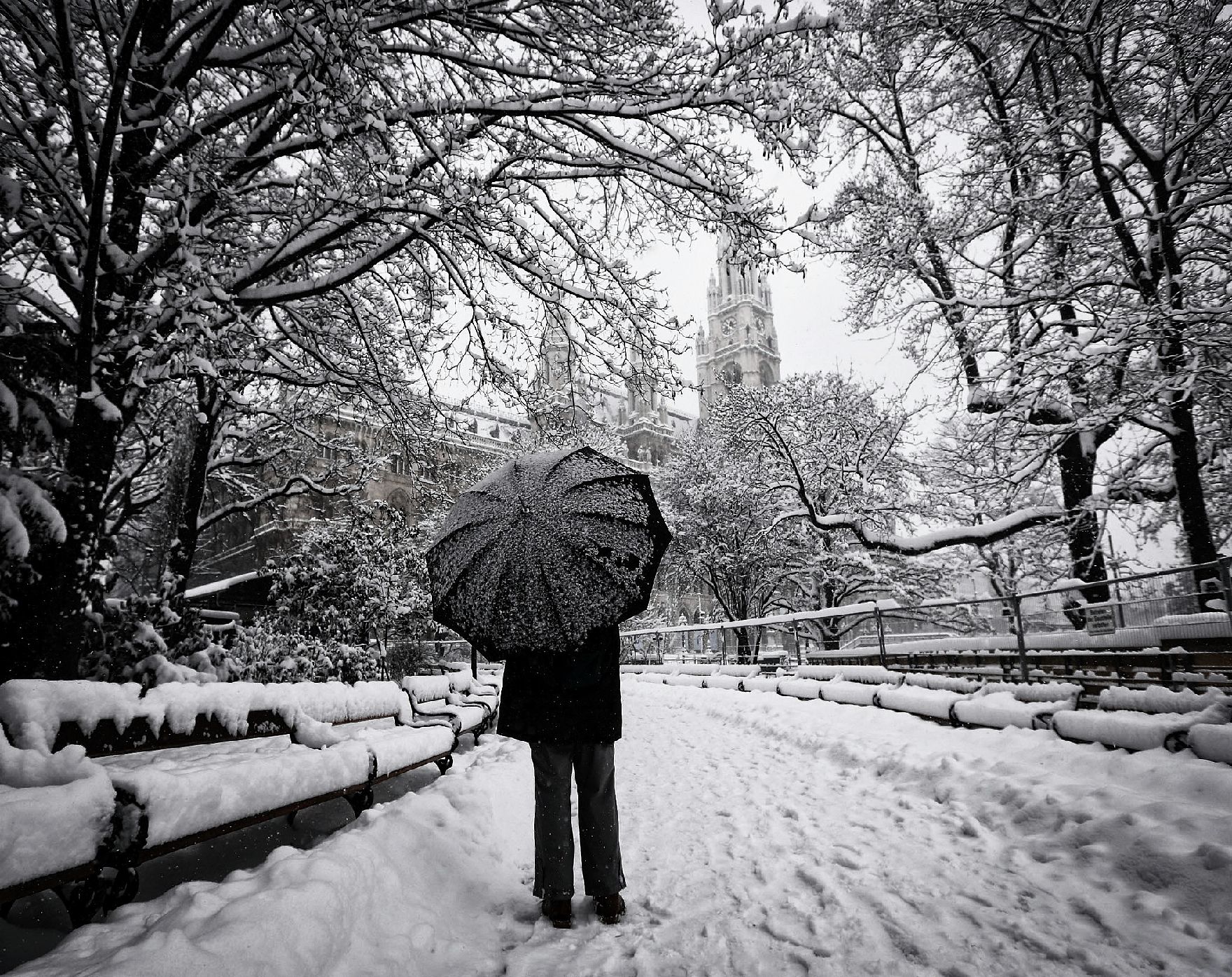 Eine winterliche Aufnahme des Rathausparks. Schlagworte: Bäume, Mensch, Natur, Parkbänke, Regenschirm, Schnee, Stadtlandschaft, Winter