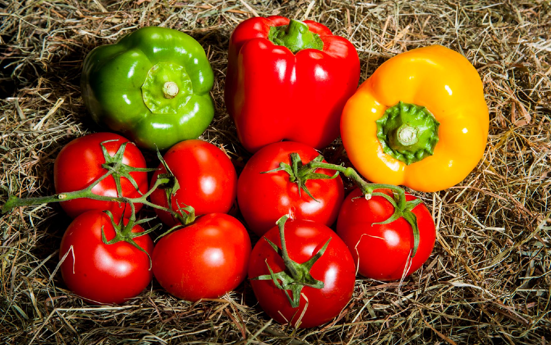 Eine Auswahl von Gemüse. Schlagworte: Gemüse, Heu, Lebensmittel, Natur, Paprika, Tomaten