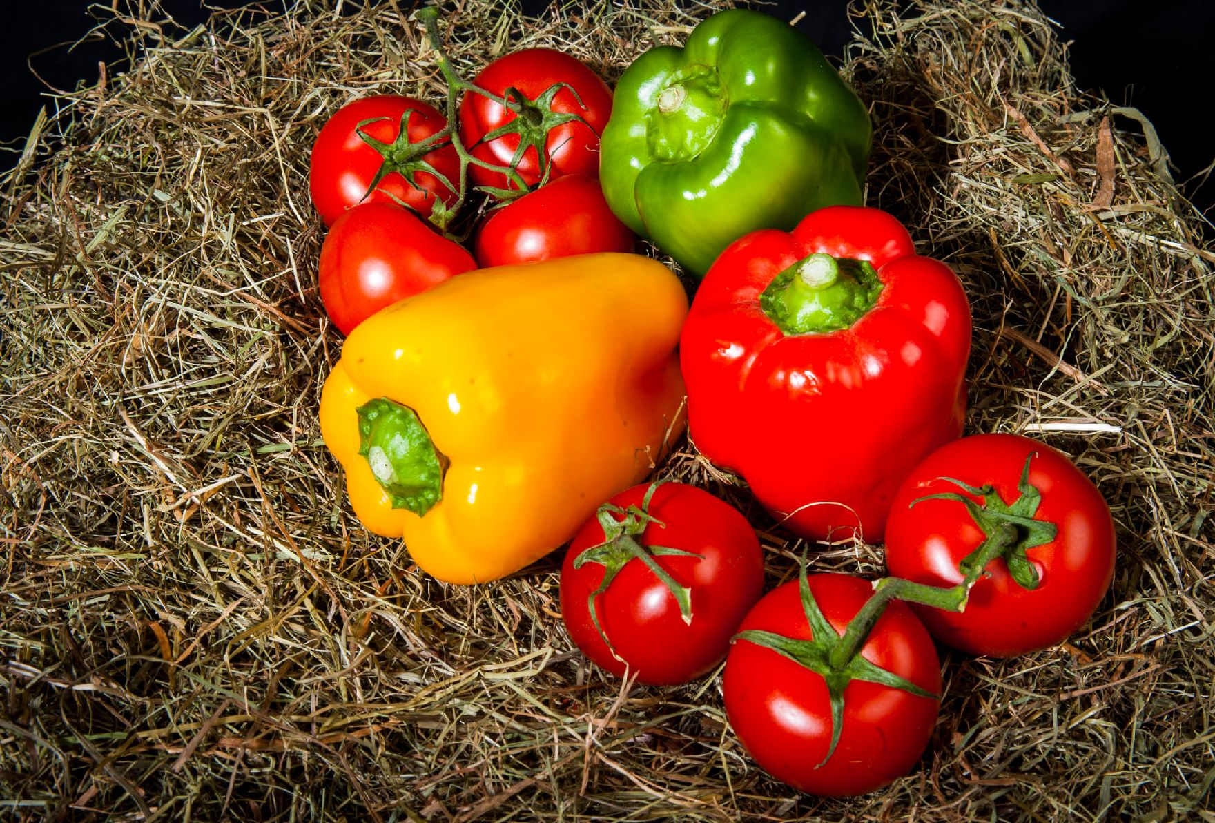 Eine Auswahl von Gemüse. Schlagworte: Gemüse, Heu, Lebensmittel, Natur, Paprika, Tomaten
