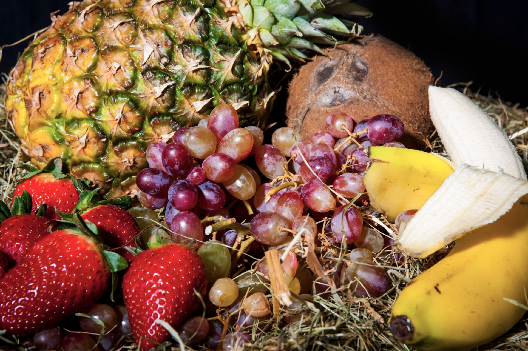Eine Auswahl von Obst. Schlagworte: Ananas, Bananen, Erdbeeren, Kokosnuss, Lebensmittel, Natur, Obst, Weintrauben