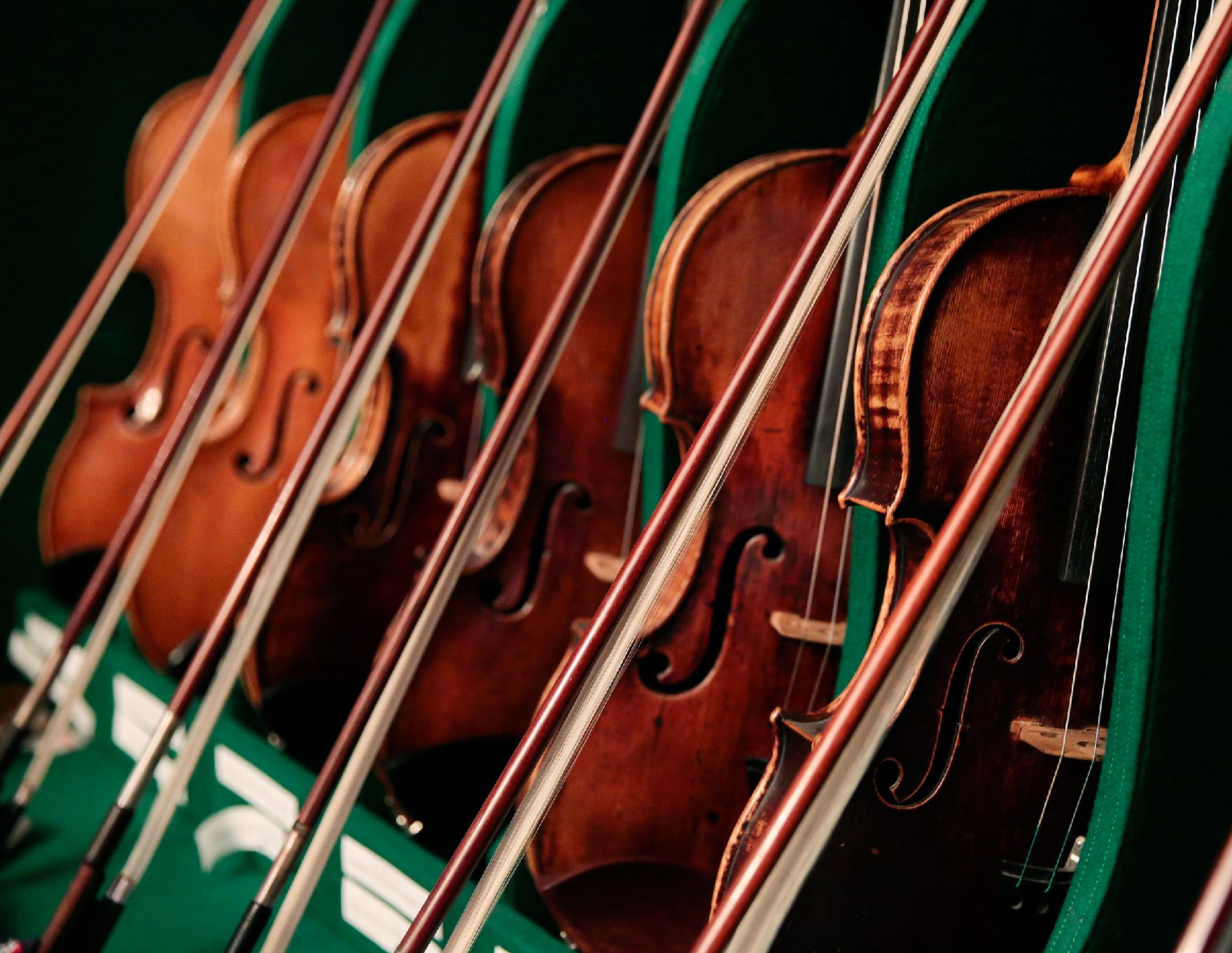 Geigen und Bögen in einer Reihe. Schlagwörter: Geigen, Bögen, Holz, Instrumente, Musik