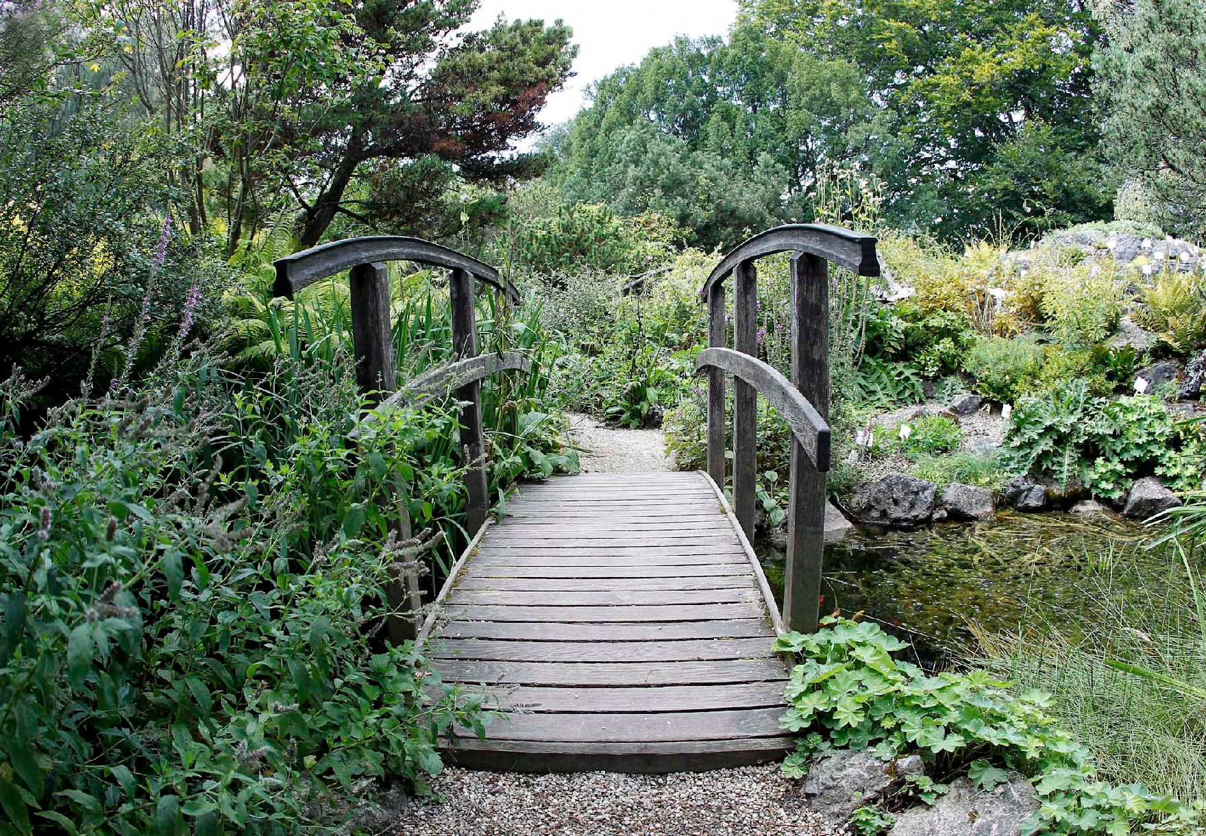 Eine kleine Holzbrücke führt über ein Gewässer im botanischen Garten. Schlagworte: Bach, Bäume, Geländer, Holz, Natur, Pflanzen, Stadtlandschaft, Steg, Wasser