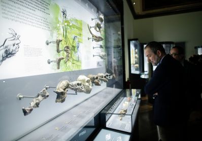 Am 7. Oktober 2017 fand die Langen Nacht der Museen statt. Im Bild Kunst- und Kulturminister Thomas Drozda im Naturhistorischen Museum.