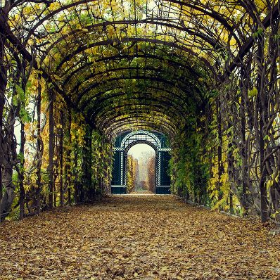 Herbst im Schönbrunner Schlosspark. Schlagworte: Blätter, Bogen, Farben, Herbst, Natur, Tor