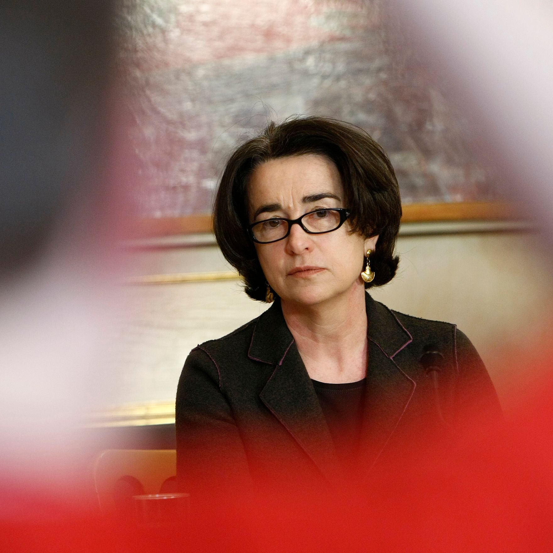 Pressekonferenz zur Pr&auml;sentation der Stellungnahme der Bioethikkommission zur Forschung an humanen embryonalen Stammzellen mit der Vorsitzenden der Bioethikkommission Christiane Druml.