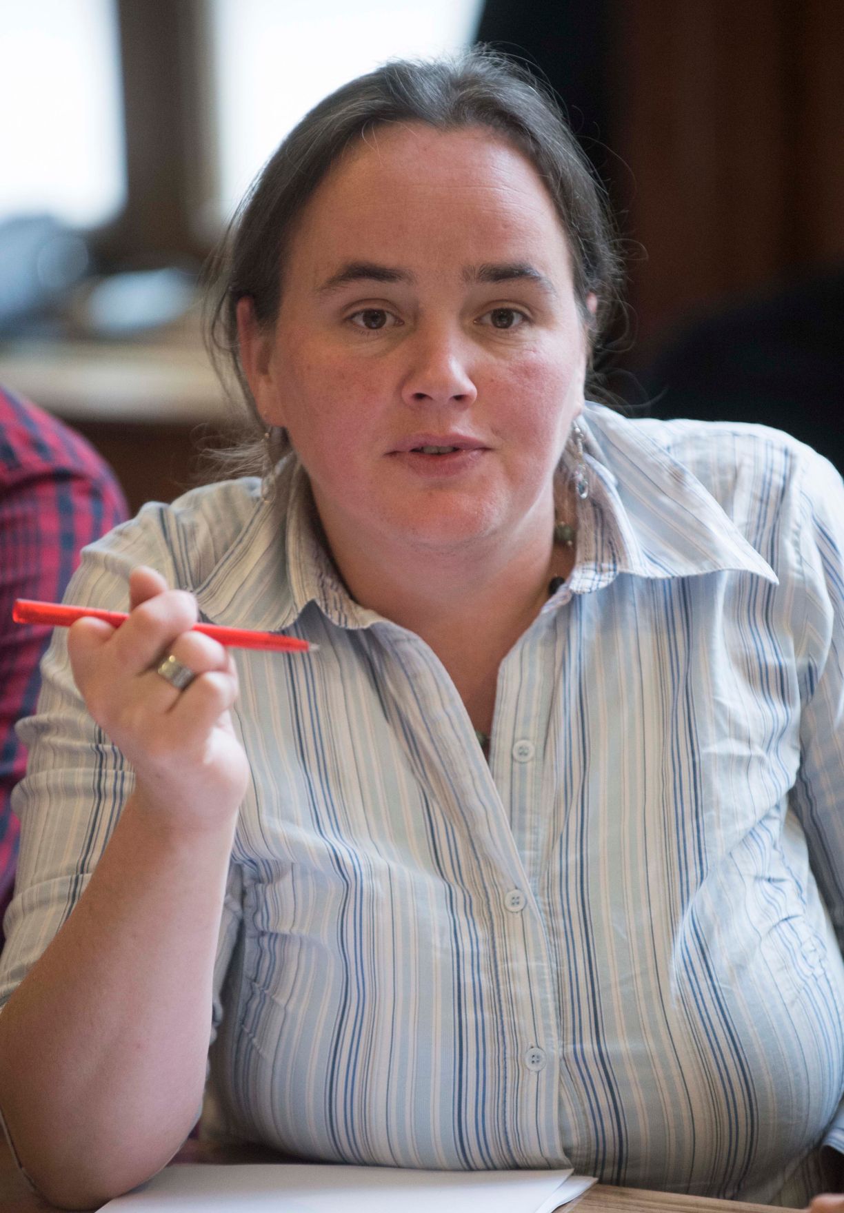 Am 9. Oktober 2012 fand die zweite Dialogplattform zum National Contact Point im Rahmen der &ouml;sterreichischen Strategie zur Einbeziehung der Roma statt.