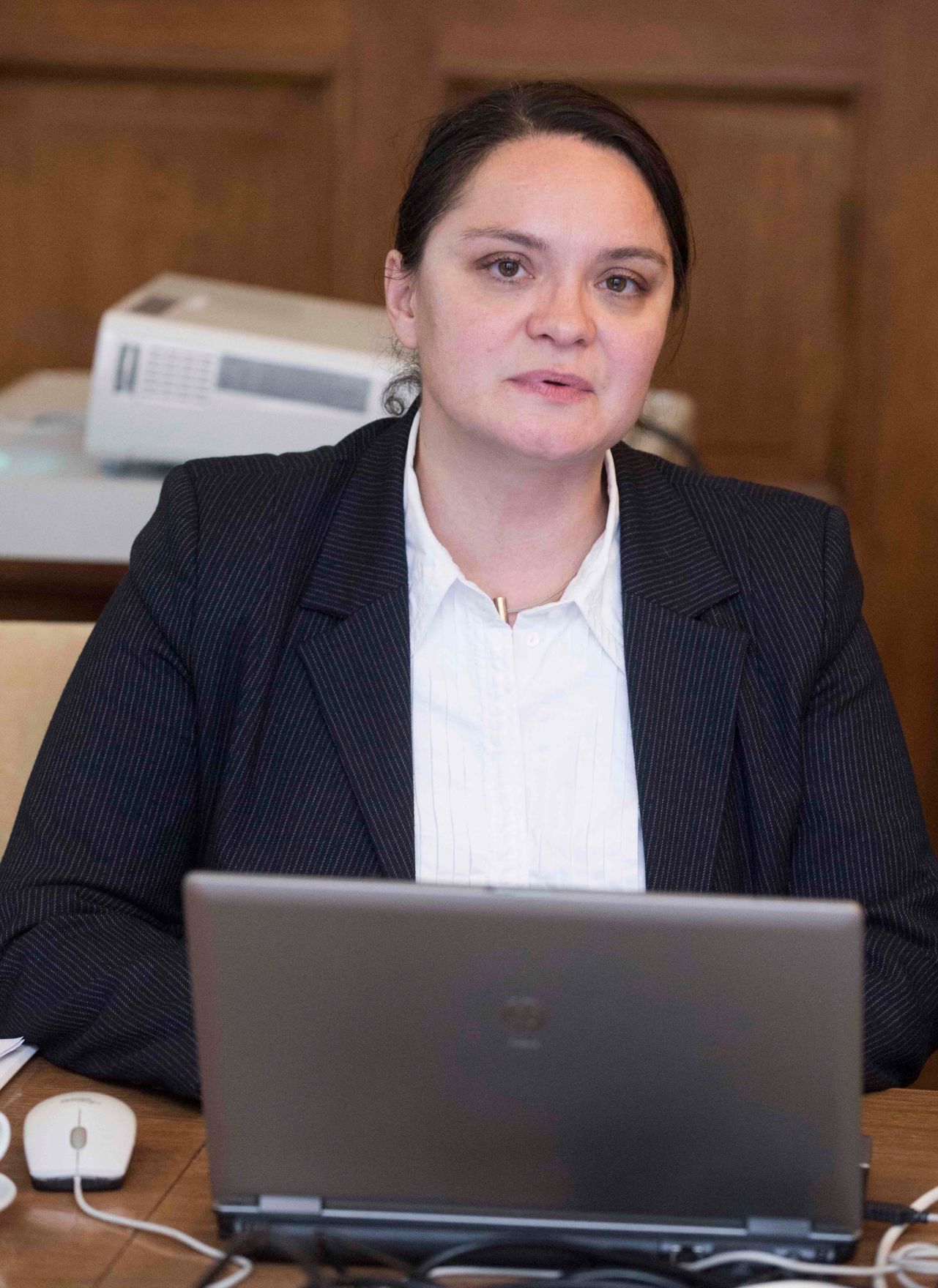 Am 9. Oktober 2012 fand die zweite Dialogplattform zum National Contact Point im Rahmen der &ouml;sterreichischen Strategie zur Einbeziehung der Roma statt.