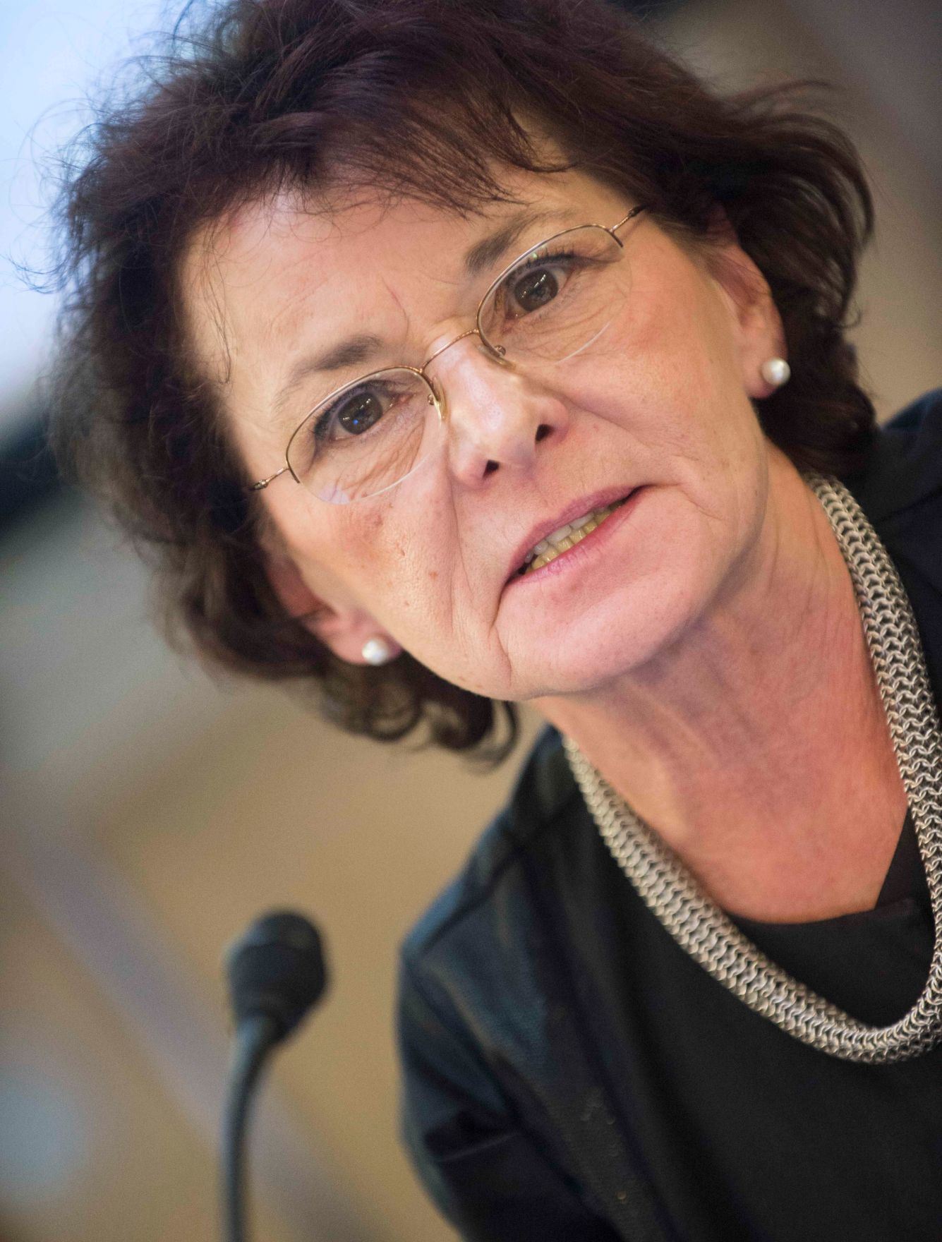 Roma Dialogplattform am 26.11.2012