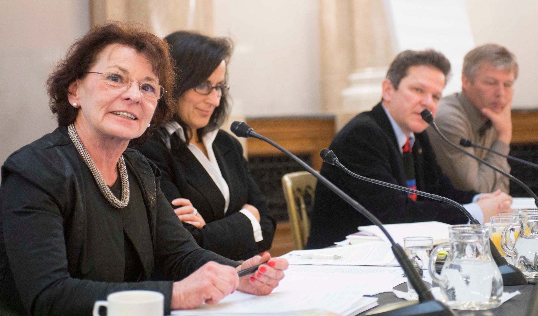 Roma Dialogplattform am 26.11.2012