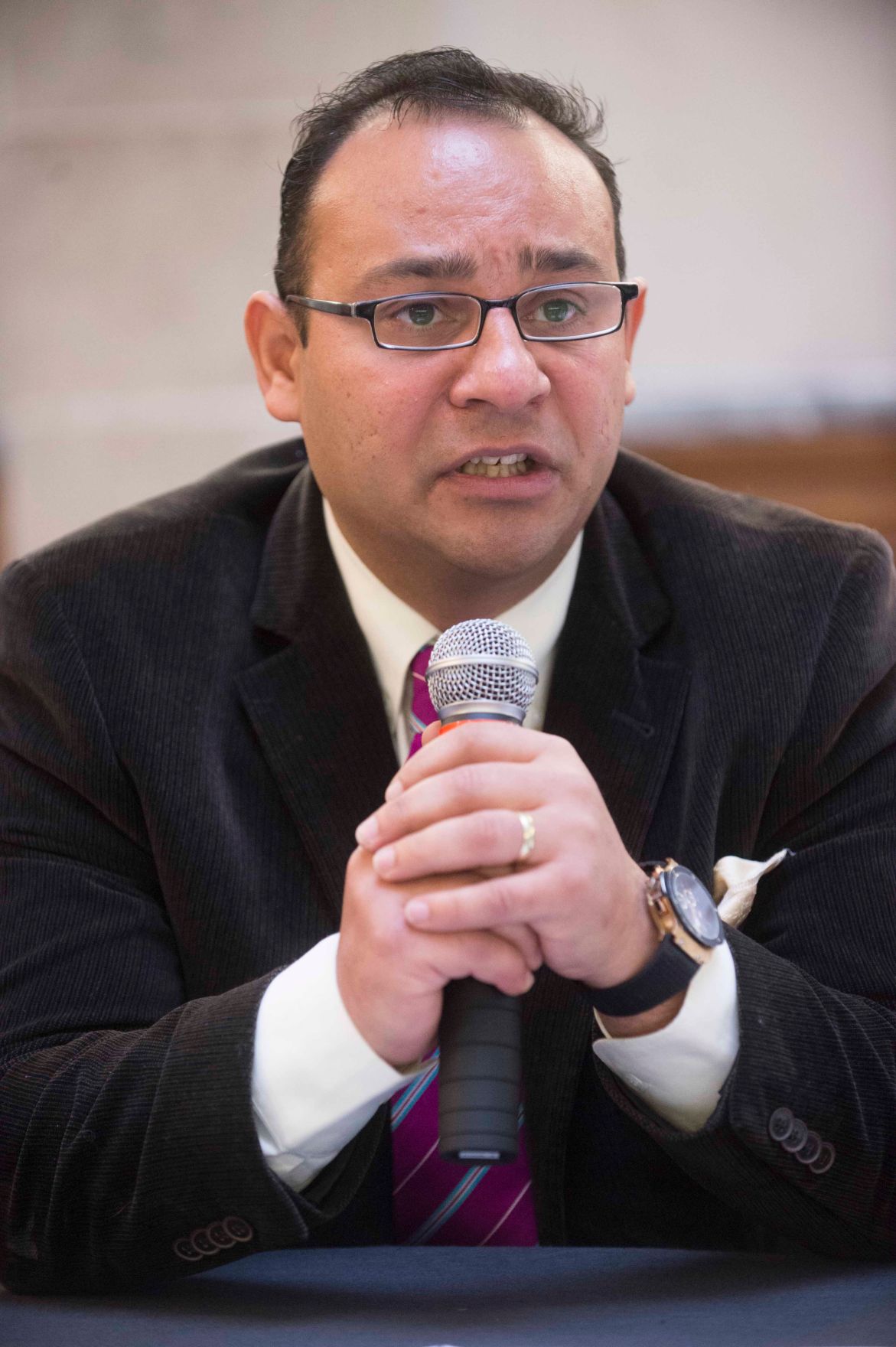 Roma Dialogplattform am 26.11.2012