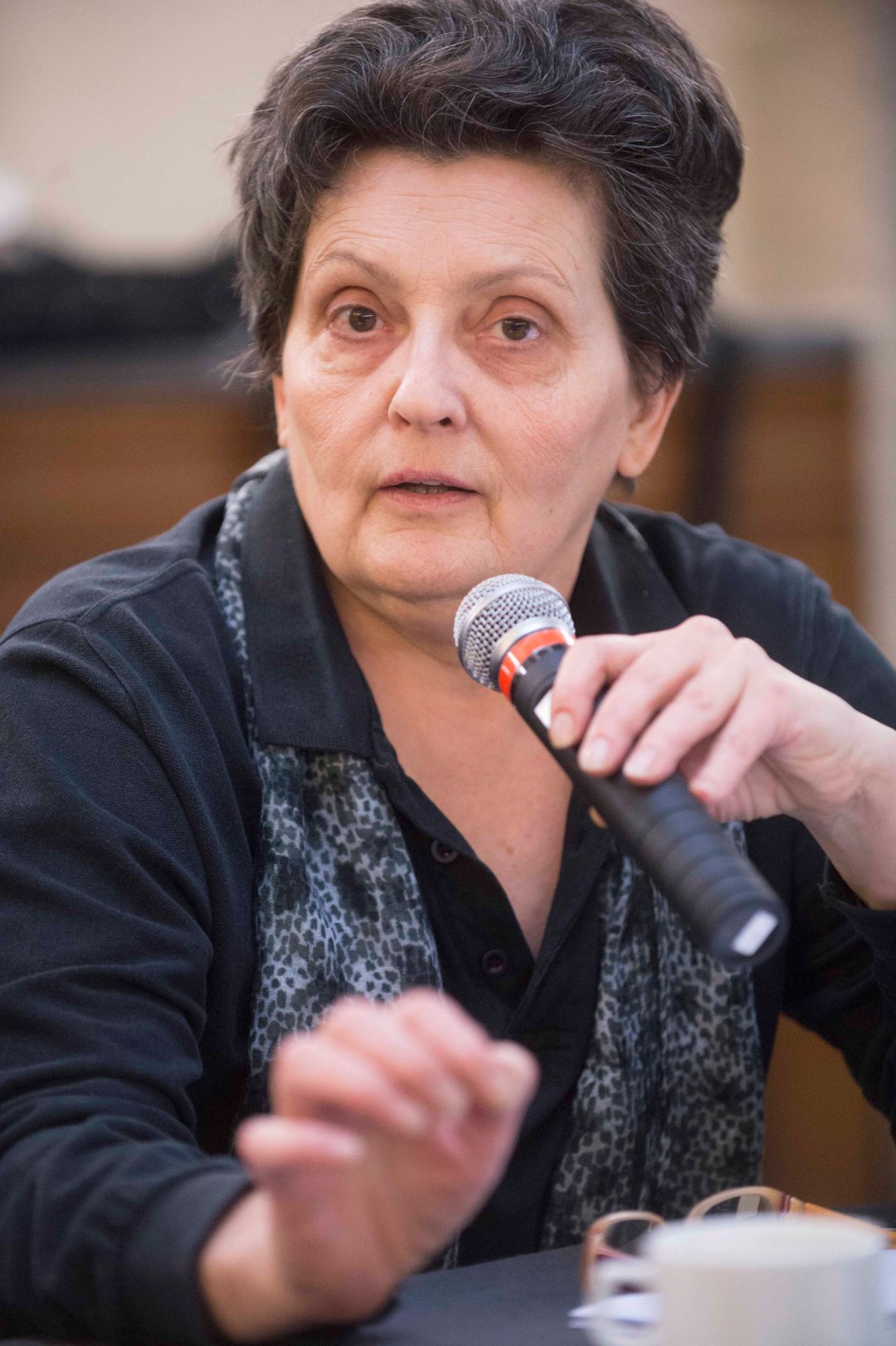 Roma Dialogplattform am 26.11.2012