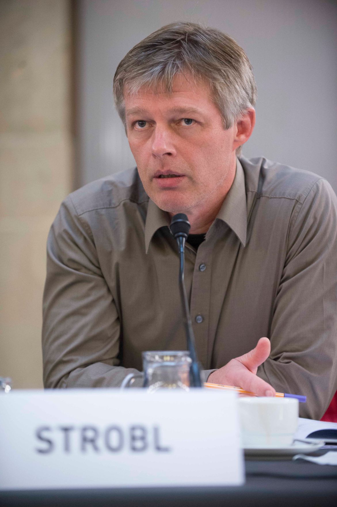 Roma Dialogplattform am 26.11.2012