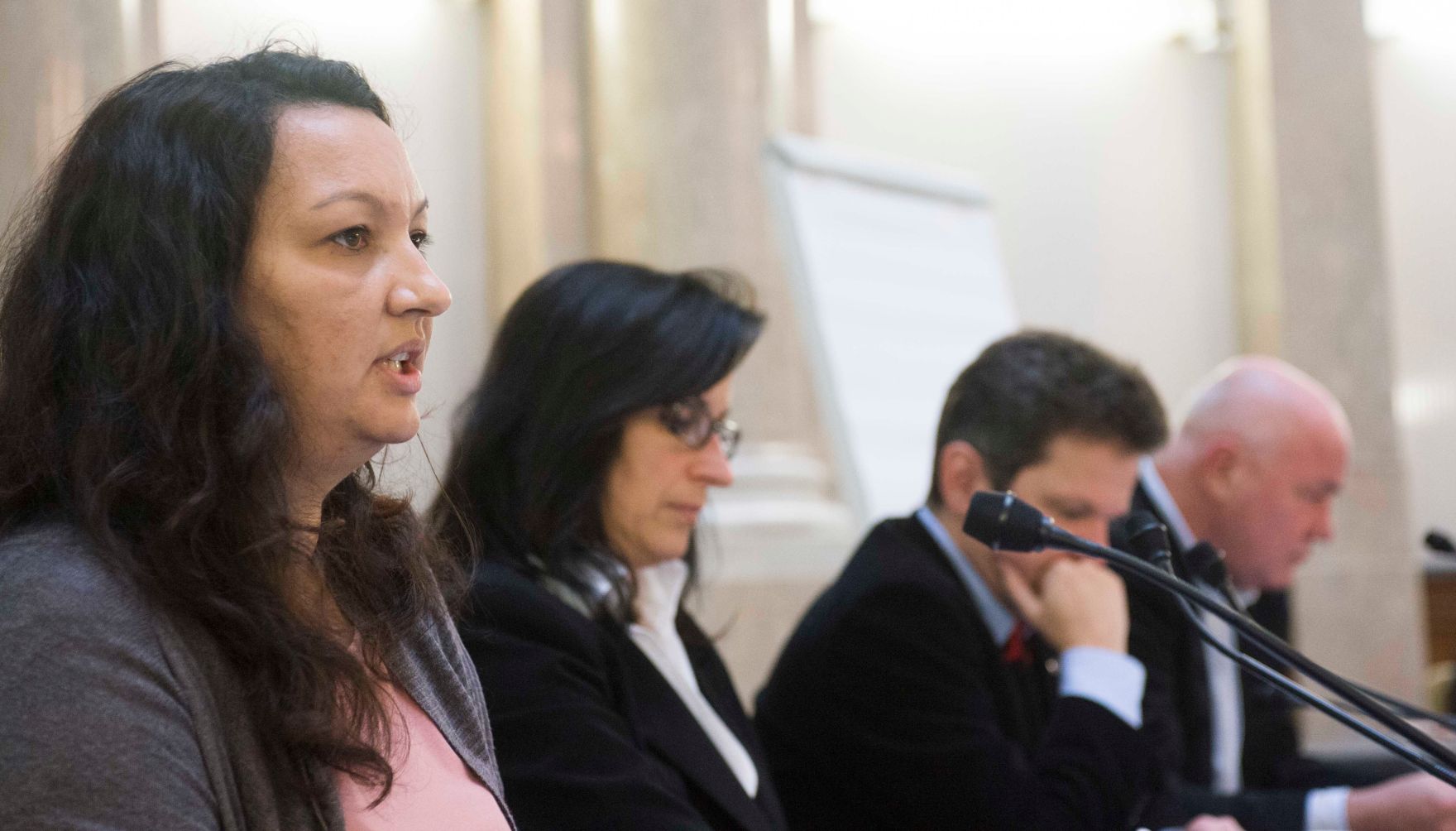 Roma Dialogplattform am 26.11.2012