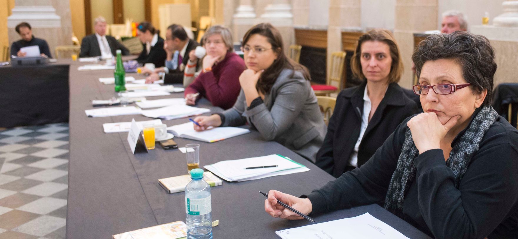 Roma Dialogplattform am 26.11.2012