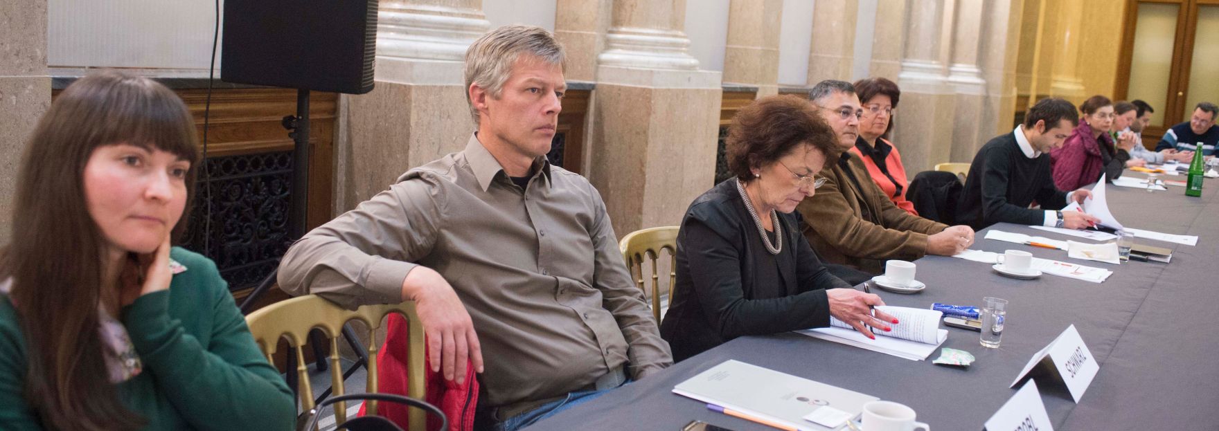 Roma Dialogplattform am 26.11.2012