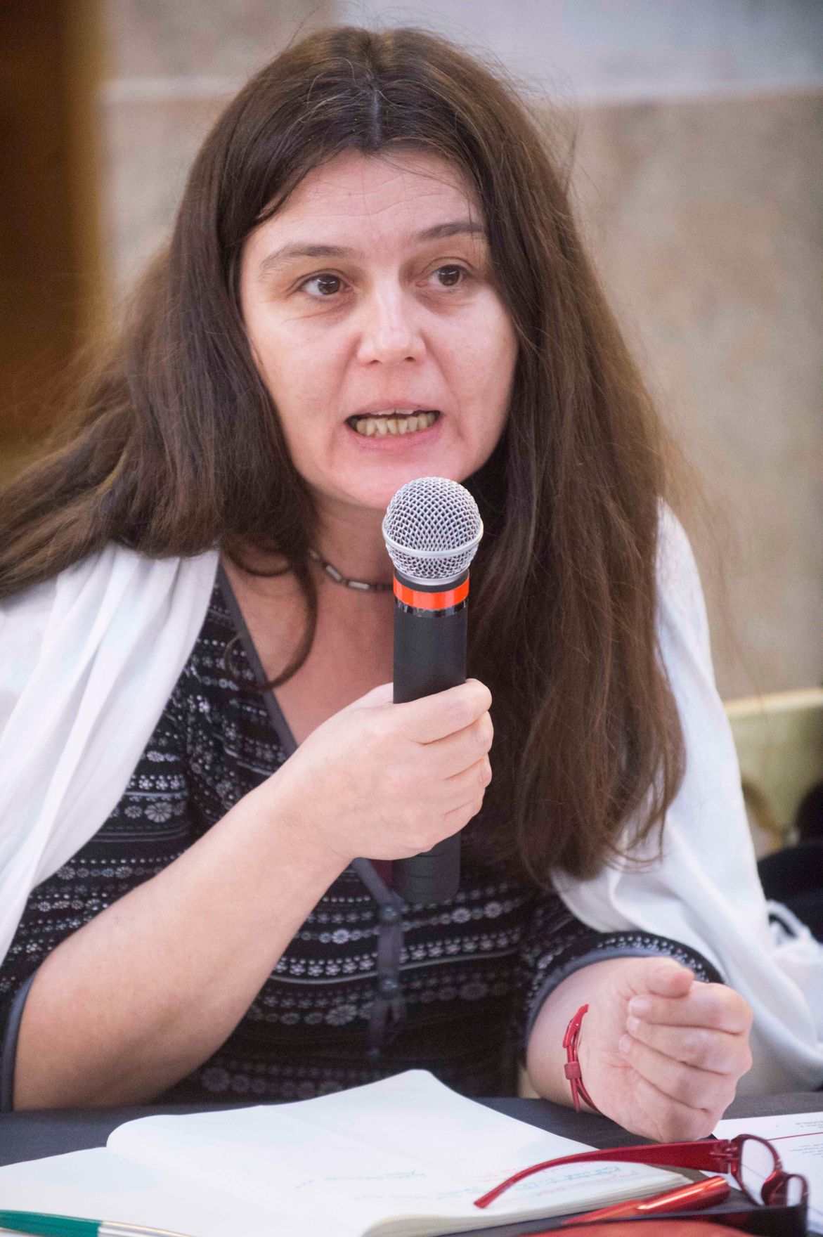 Roma Dialogplattform am 26.11.2012