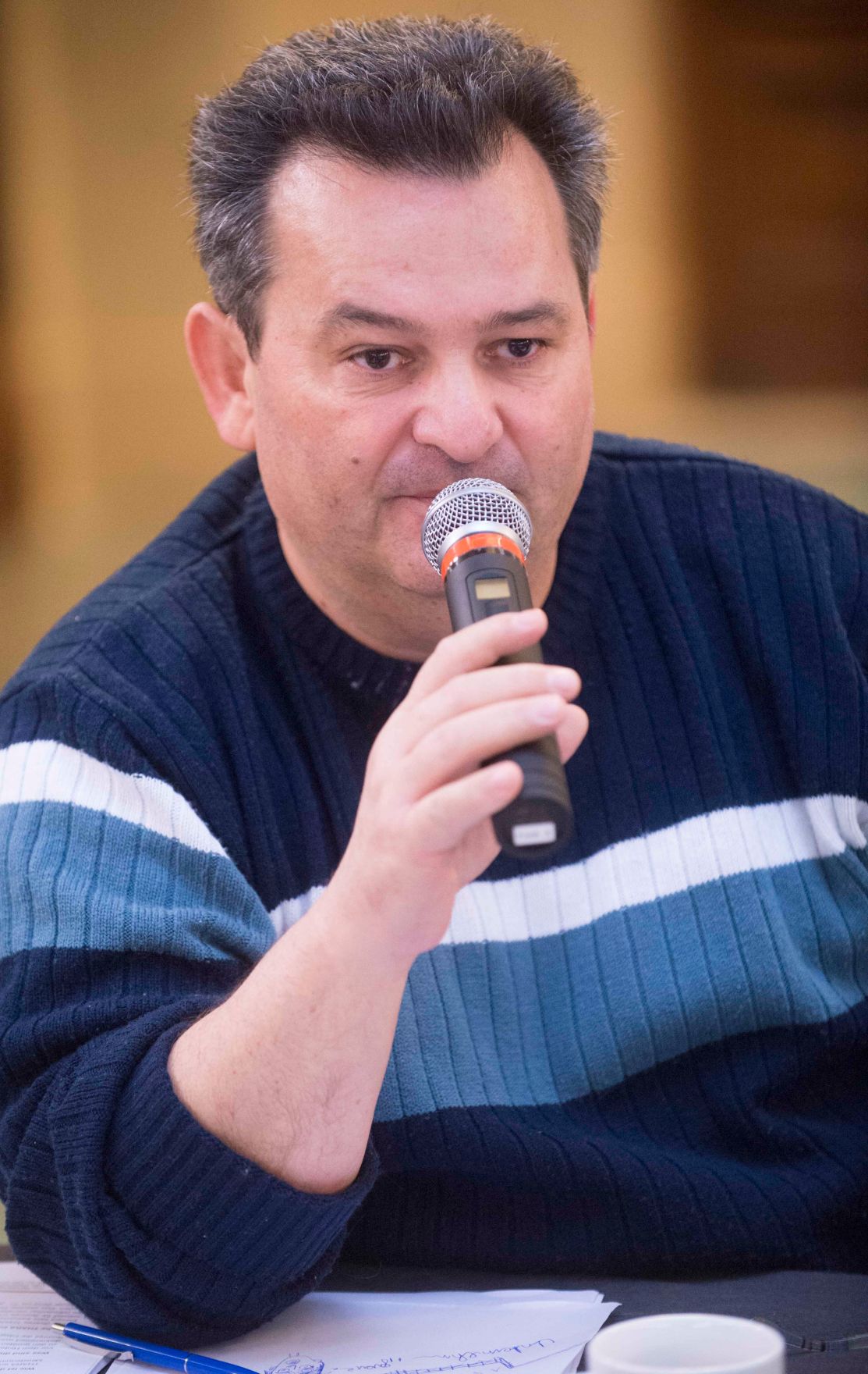 Roma Dialogplattform am 26.11.2012