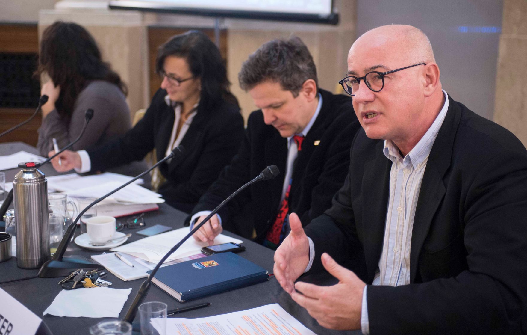 Roma Dialogplattform am 26.11.2012