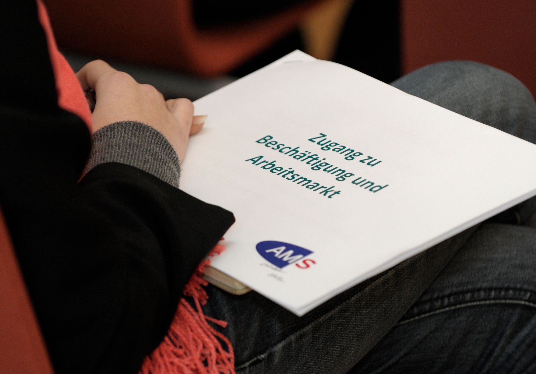 Am 21. J&auml;nner 2013 fand die 4. Dialogplattform zur Integration der Roma bis 2020 &bdquo;Zugang zu Besch&auml;ftigung und Arbeitsmarkt&quot; statt.