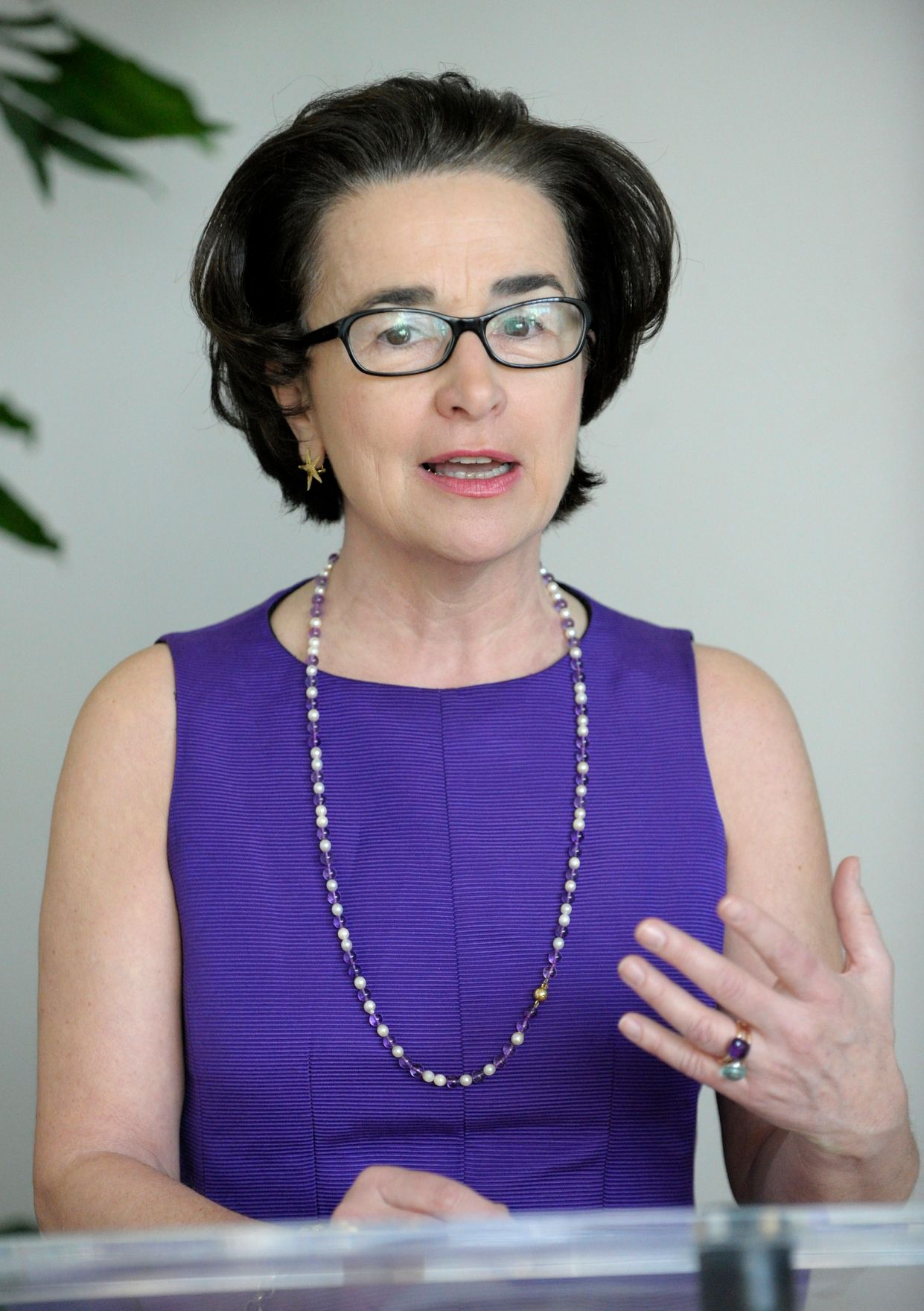 Am 5. M&auml;rz 2013 fand im Bundeskanzleramt ein Treffen der deutschsprachigen nationalen Ethikkommissionen statt. Im Bild Christiane Druml, Vorsitzende der Bioethikkommission im bei der Er&ouml;ffnung der Veranstaltung.