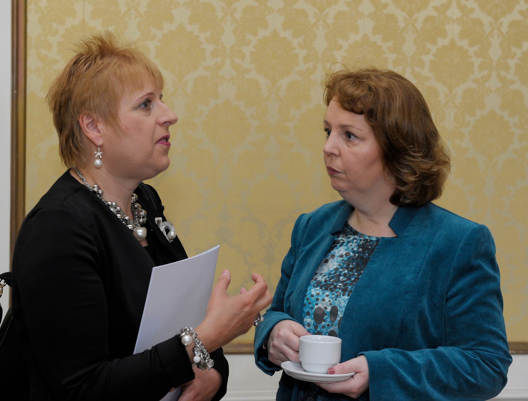 Am 7. und 8. Mai 2013 fand im Bundeskanzleramt die EuDEM Konferenz (Conference on European Democracy) statt. Im Bild Nad&ecirc;zda Siskov&aacute; (l.) und Jillian van Turnhout (r.).