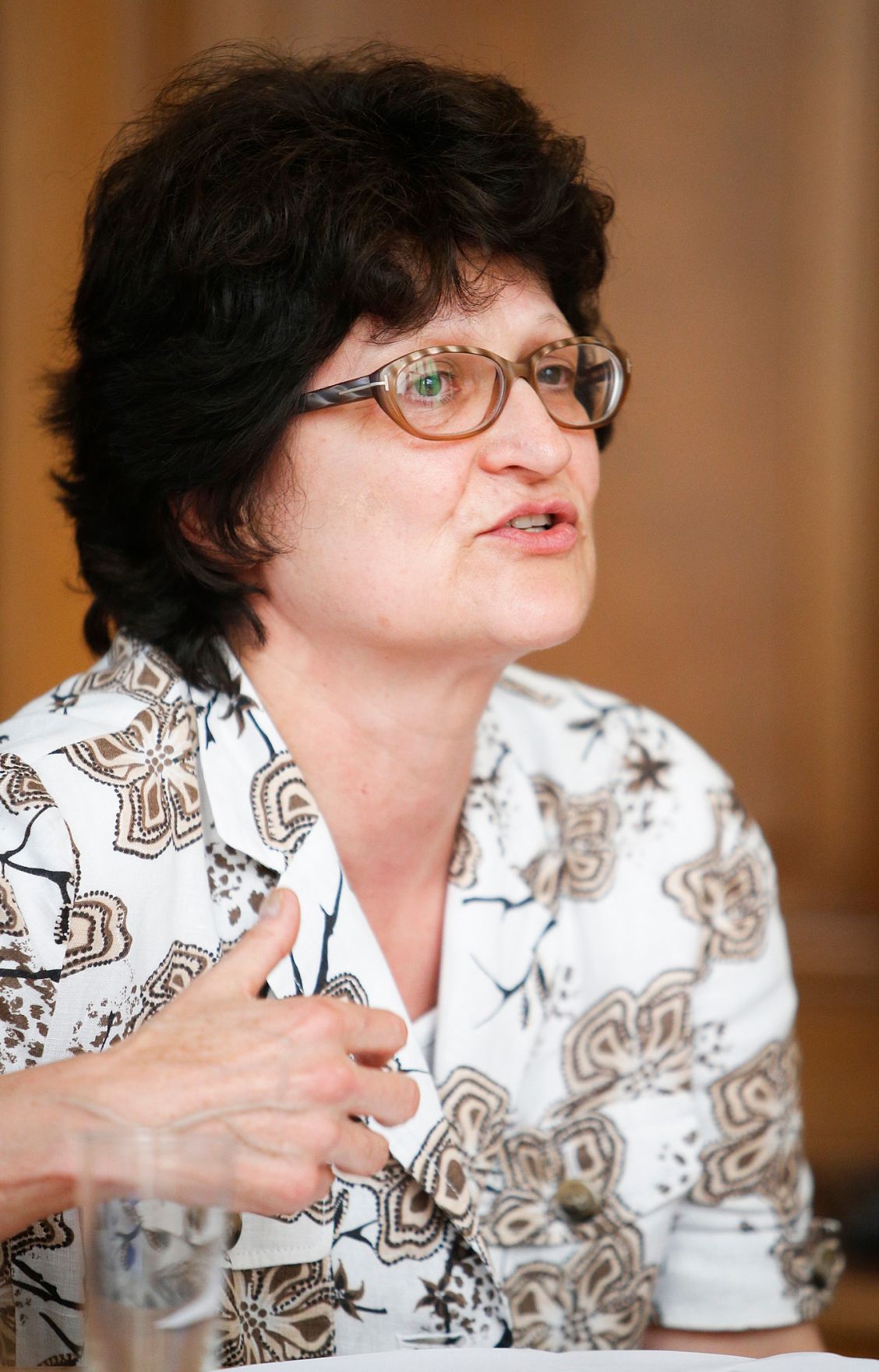 Am 19. Juni 2013 fand im Bundeskanzleramt die 7. Roma-Dialogplattform statt.