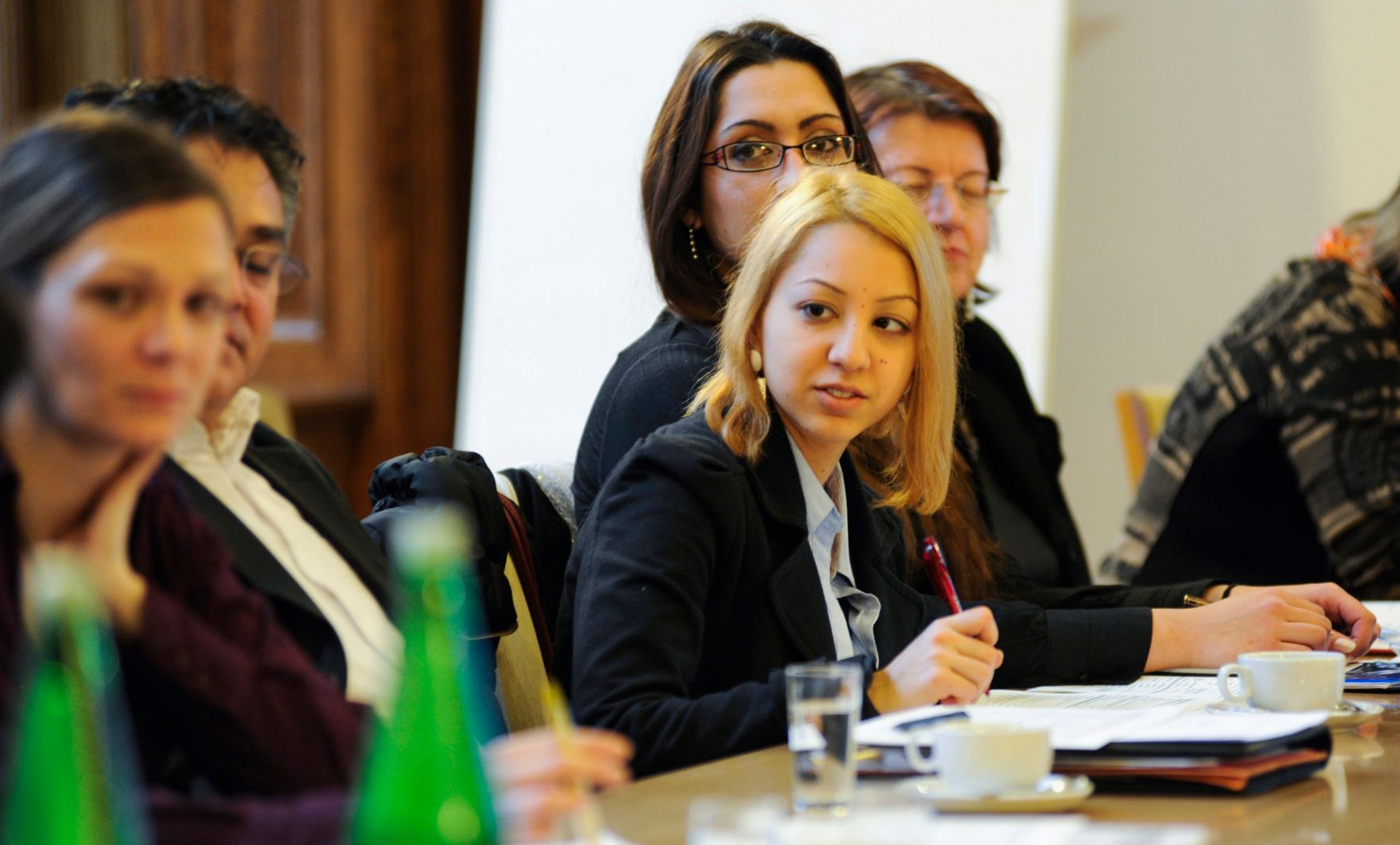 Am 4. Dezember 2013 fand die 9. Roma-Dialogplattform zum Thema &bdquo;Roma-Strategie&quot; statt.