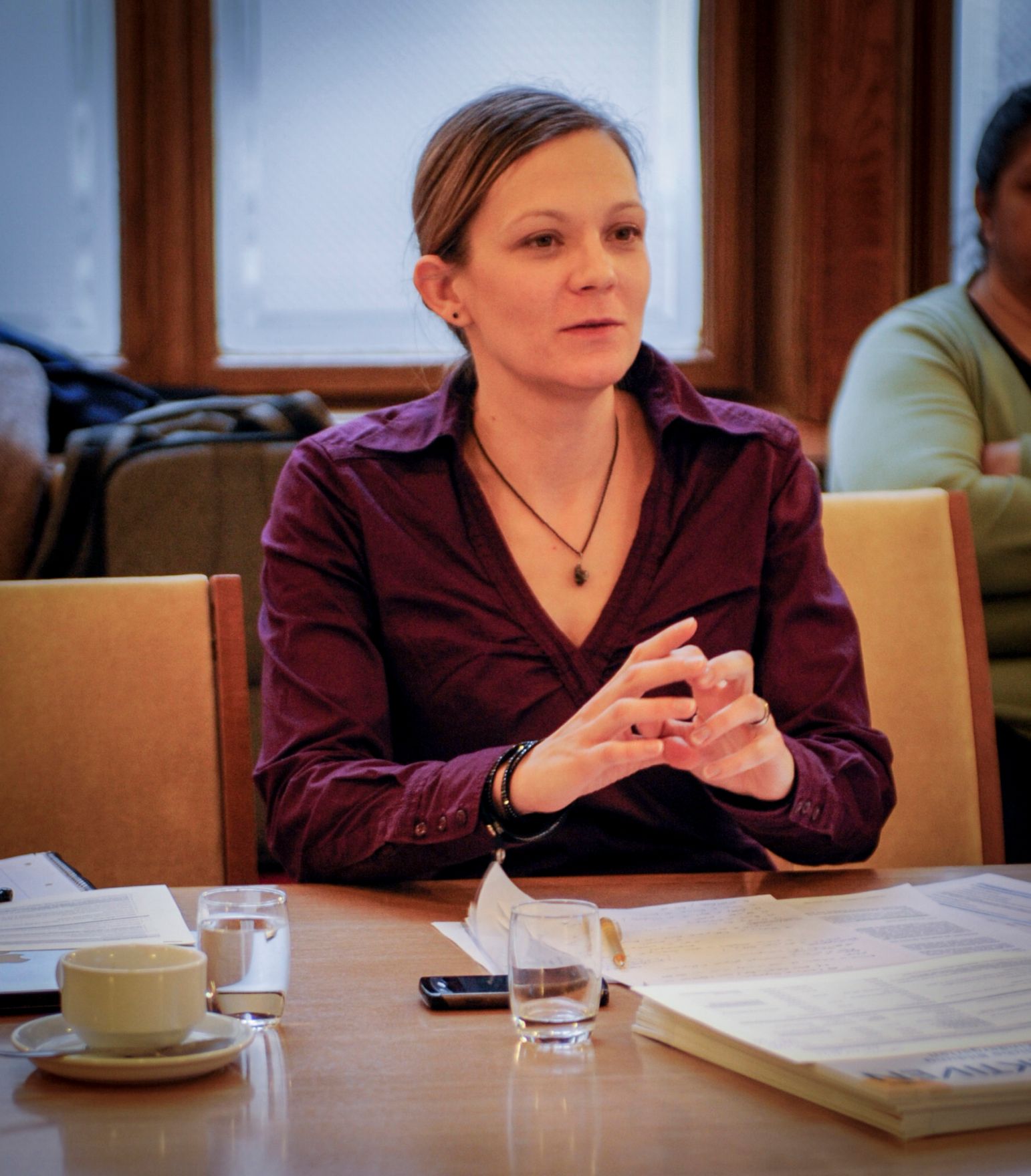 Am 4. Dezember 2013 fand die 9. Roma-Dialogplattform zum Thema &bdquo;Roma-Strategie&quot; statt.