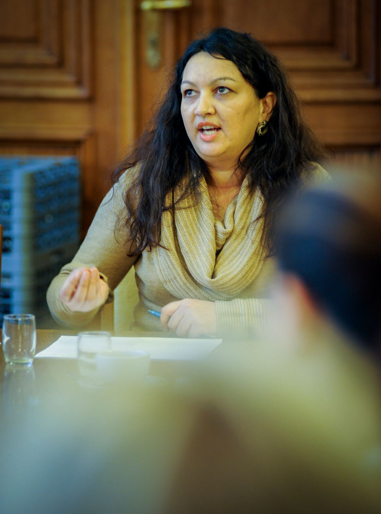 Am 4. Dezember 2013 fand die 9. Roma-Dialogplattform zum Thema &bdquo;Roma-Strategie&quot; statt.