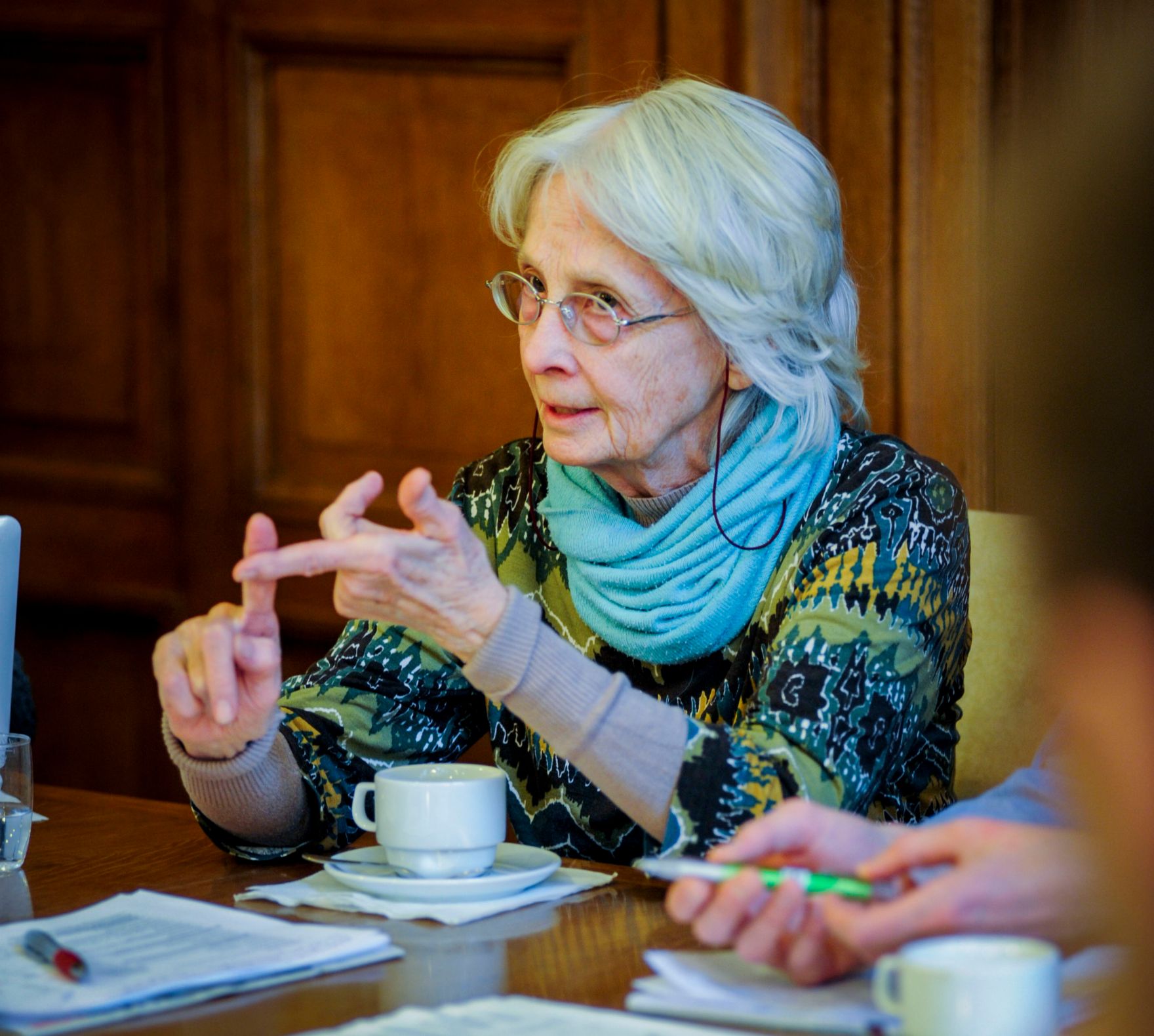 Am 4. Dezember 2013 fand die 9. Roma-Dialogplattform zum Thema &bdquo;Roma-Strategie&quot; statt.