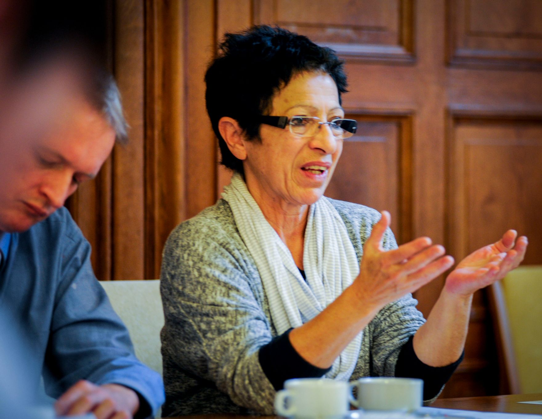 Am 4. Dezember 2013 fand die 9. Roma-Dialogplattform zum Thema &bdquo;Roma-Strategie&quot; statt.