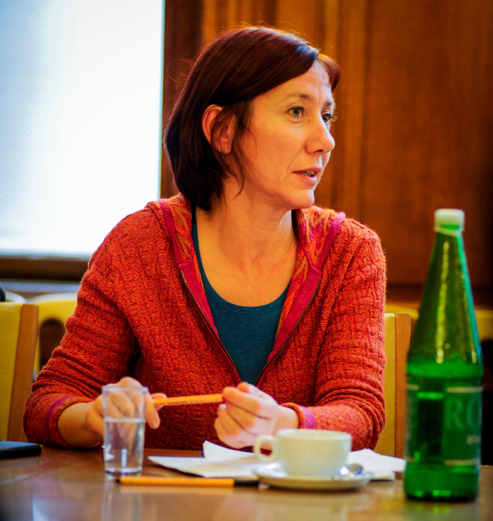 Am 4. Dezember 2013 fand die 9. Roma-Dialogplattform zum Thema &bdquo;Roma-Strategie&quot; statt.