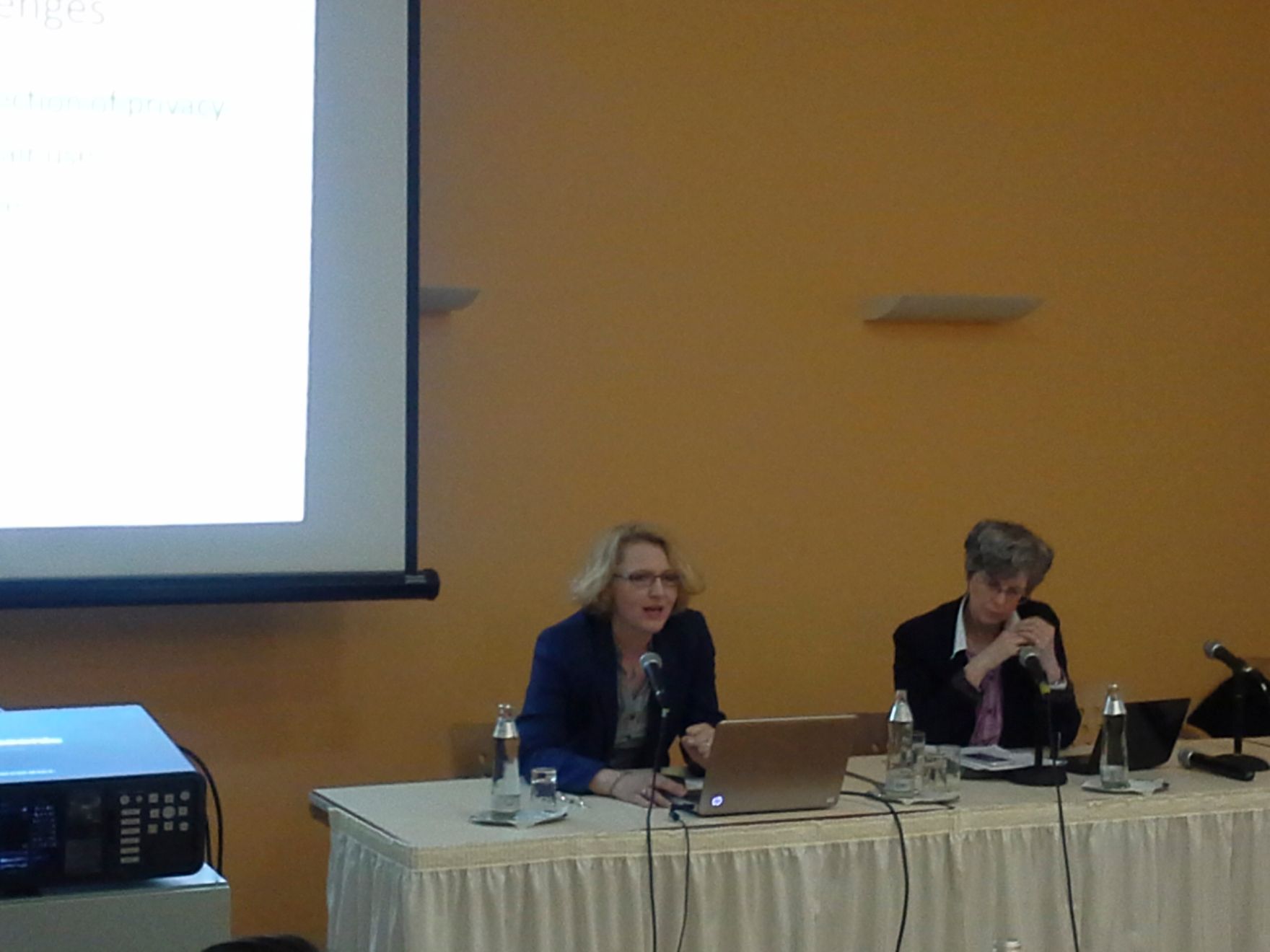 Am 27. und 28. April 2015 fand in der Diplomatischen Akademie Wien die Conference on European Democracy (EuDEM) 2015 statt. Im Bild Dr. Kulesza (l.) bei der Pr&auml;sentation und Prof. Sully (r.), Vorsitzende des dritten Panels.