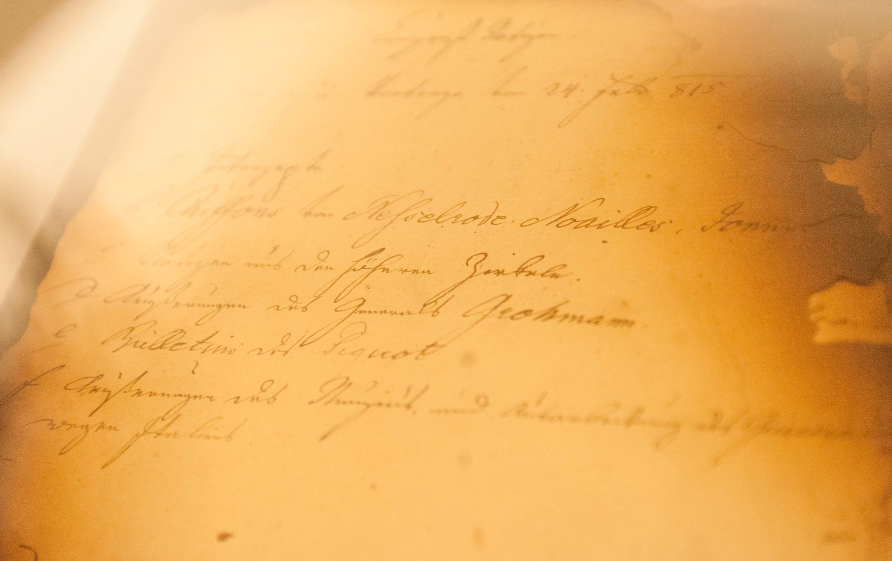 Impressionen der Ausstellung &quot;Idee Europa - 200 Jahre Wiener Kongress&quot; | Juli bis Oktober 2015 | Ballhausplatz 2