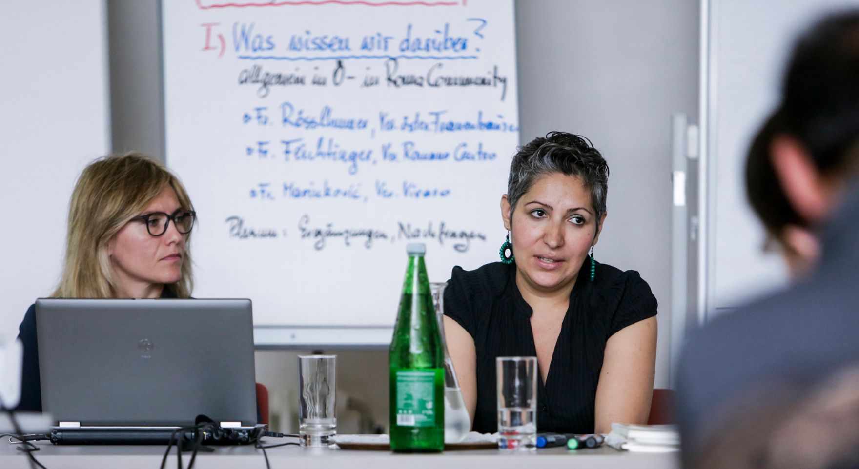 Am 22. Juni 2016 fand die 17. Roma Dialogplattform des Bundeskanzleramts zum Thema &bdquo;Gewalt in der Familie, h&auml;usliche Gewalt, Zwangsheirat&ldquo; statt.