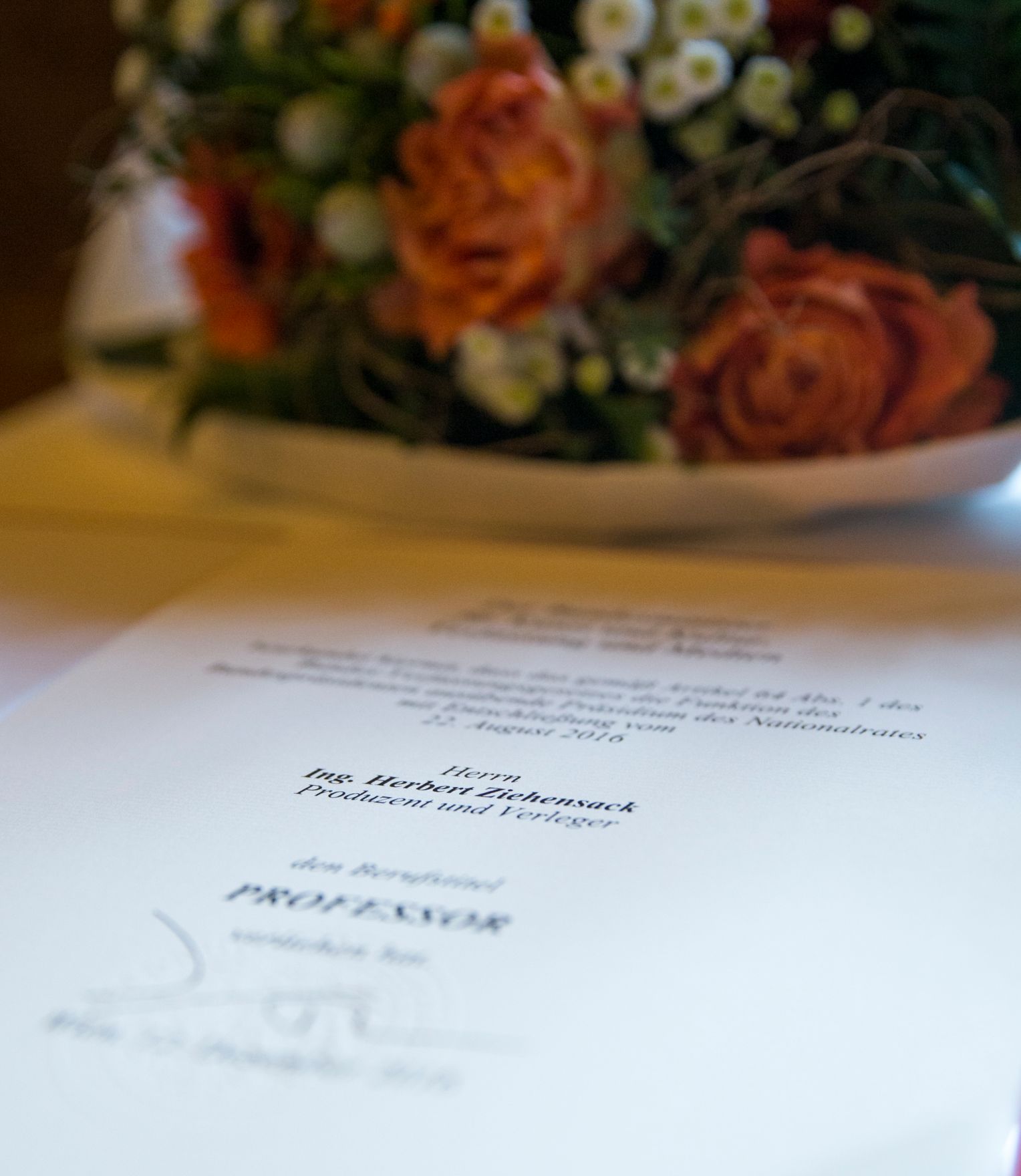 Am 12. Dezember 2016 &uuml;berreichte Ministerialrat Reinhold Hohengartner die Urkunden, mit denen Ferdinand Germadnik und Herbert Ziehensack der Berufstitel Professor verliehen wurde.