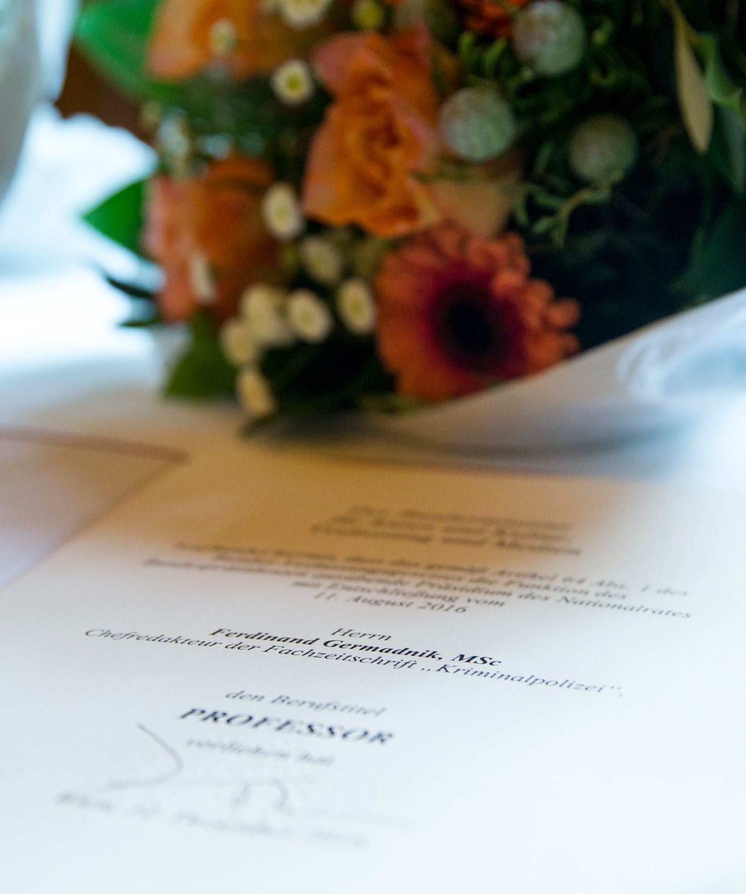 Am 12. Dezember 2016 &uuml;berreichte Ministerialrat Reinhold Hohengartner die Urkunden, mit denen Ferdinand Germadnik und Herbert Ziehensack der Berufstitel Professor verliehen wurde.