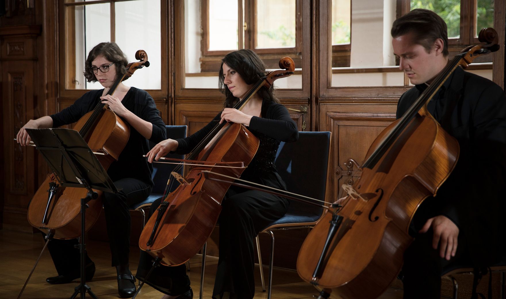 Am 7. Juni 2017 &uuml;berreichte Reinhold Hohengartner die Urkunde, mit der Fritz Rubin-Bittmann der Berufstitel Professor verliehen wurde.