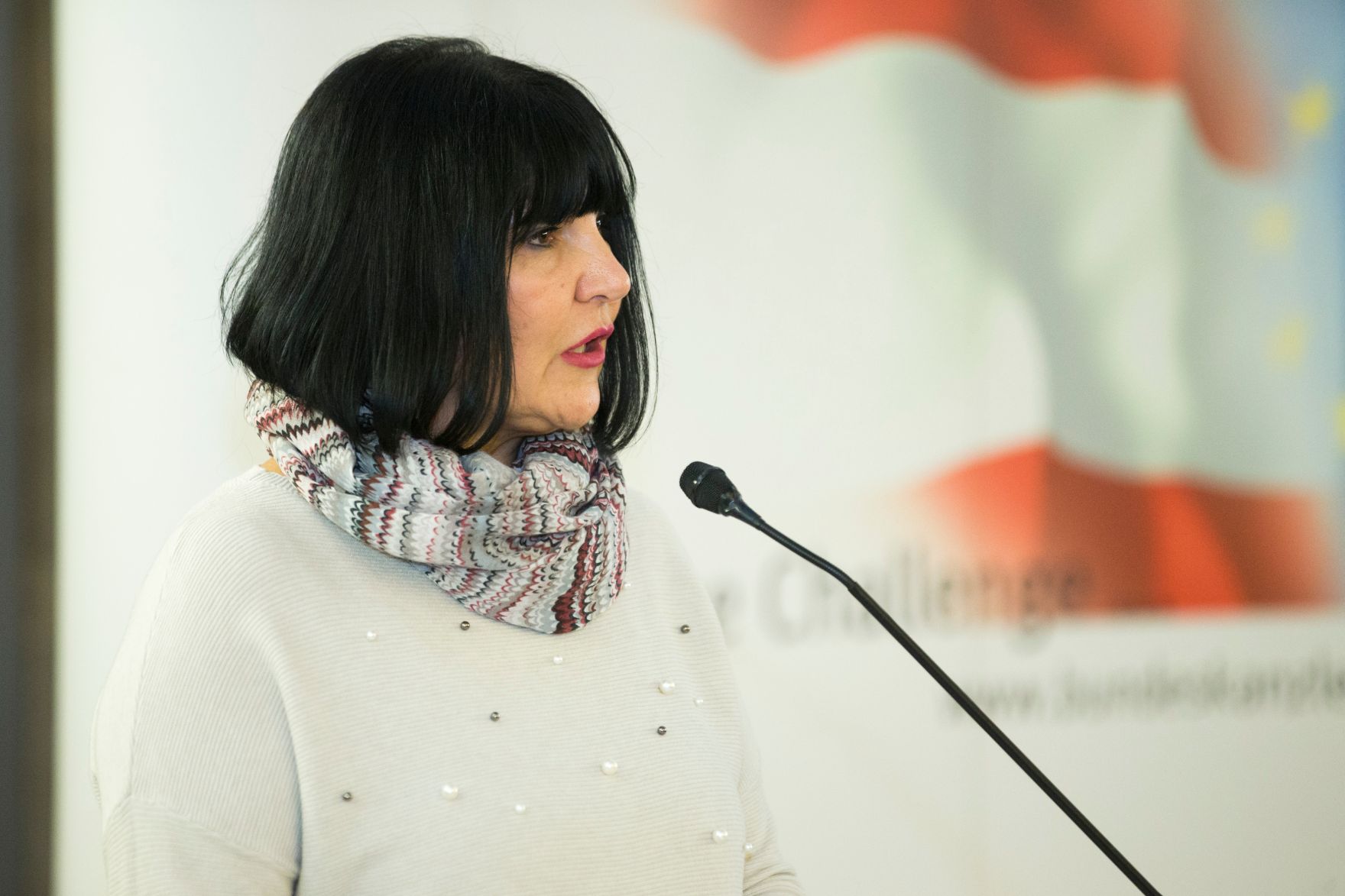 Am 13. November 2017 fand die Veranstaltung "Gender Pay Gap: Fakten, Handlungen, Ergebnisse" statt. Im Bild Sektionschefin Angelika Flatz.