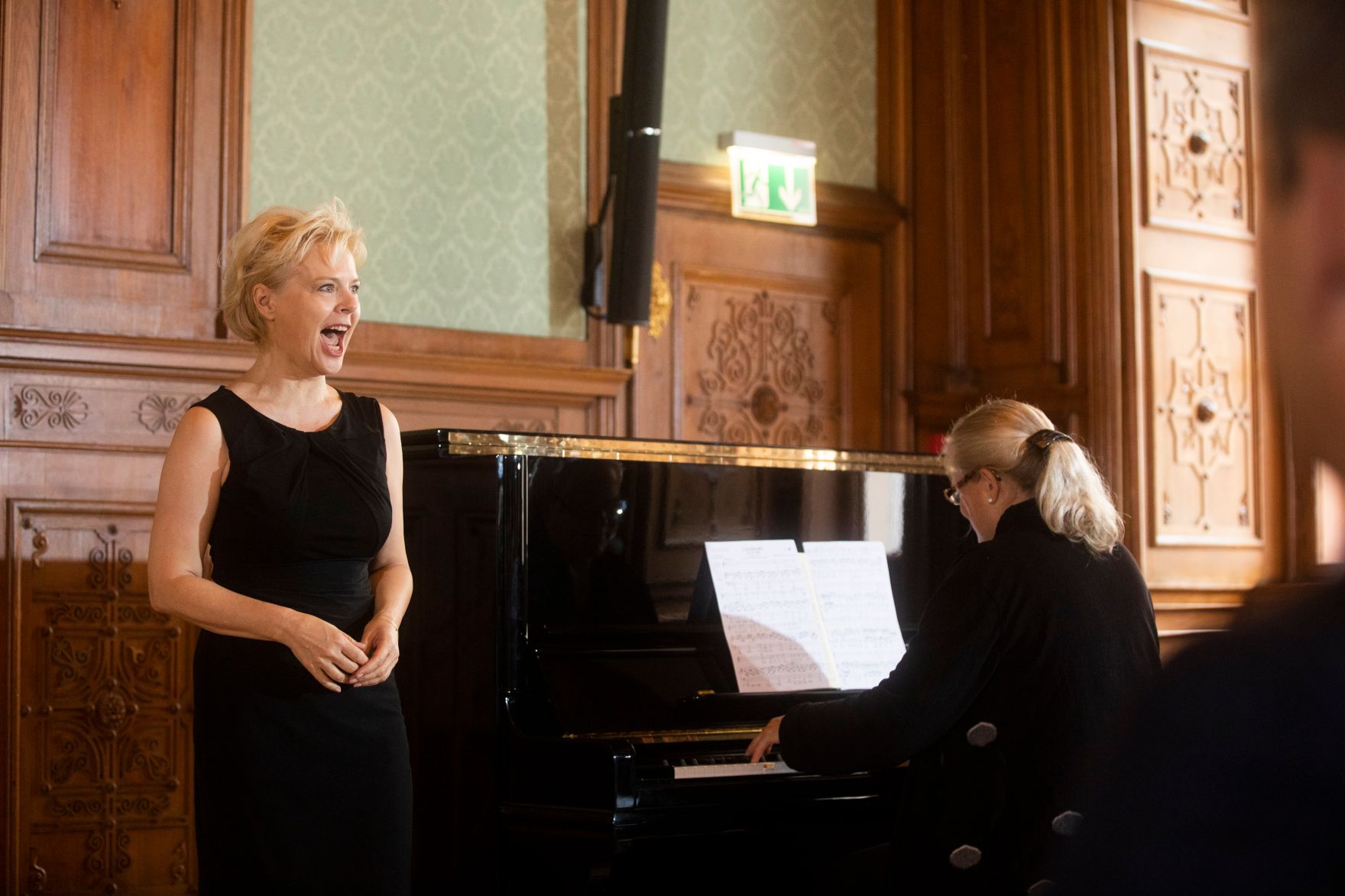 Am 22. Oktober 2018 &uuml;berreichte Sektionschef J&uuml;rgen Meindl das &Ouml;sterreichische Ehrenkreuz f&uuml;r Wissenschaft und Kunst an Thomas D&auml;nemark.