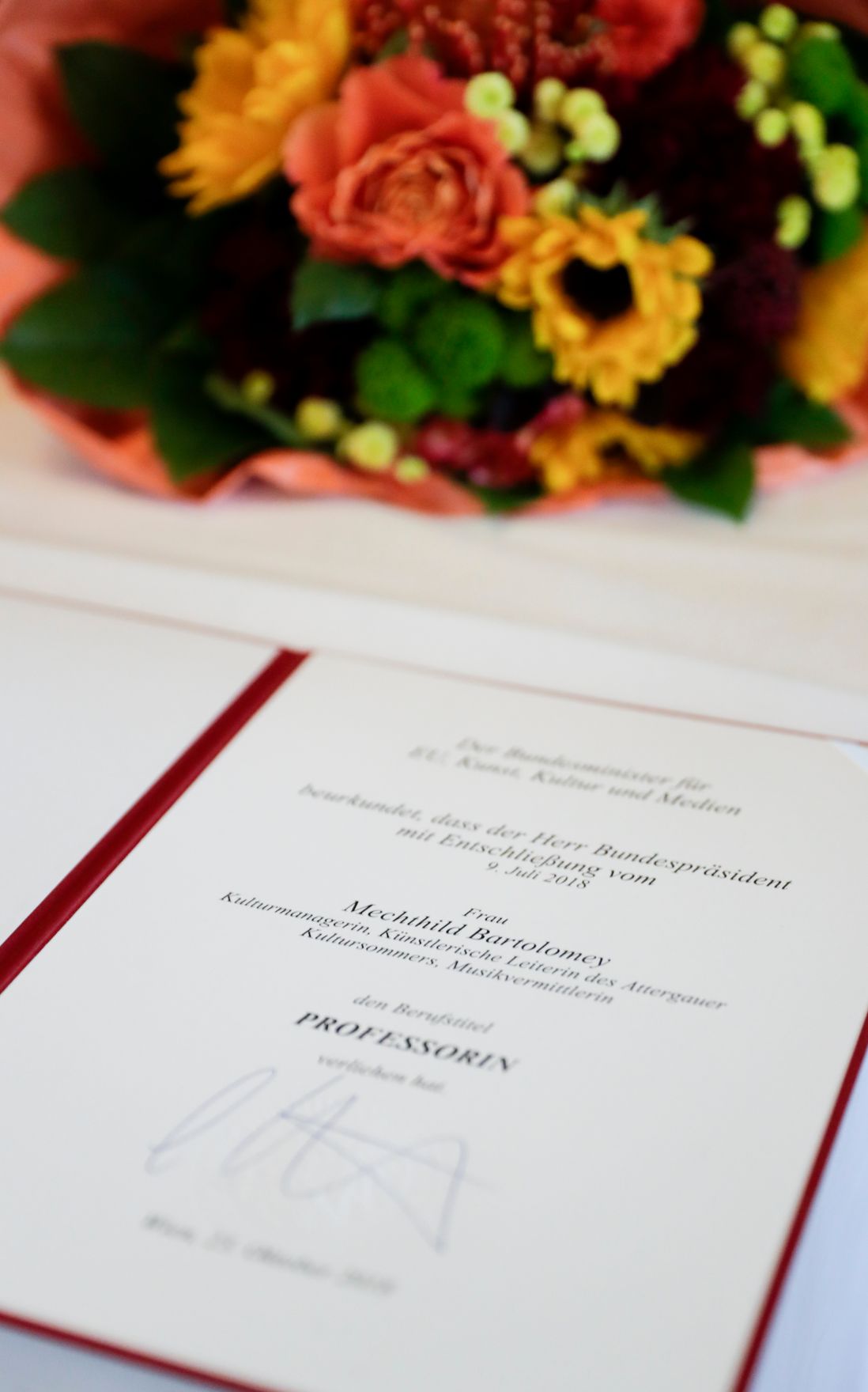 Am 23. Oktober 2018 wurden die Urkunden &uuml;ber die Verleihung des Berufstitels Professorin an Mechthild Bartolomey und des Berufstitels Professor an Walter Kob&eacute;ra &uuml;berreicht.