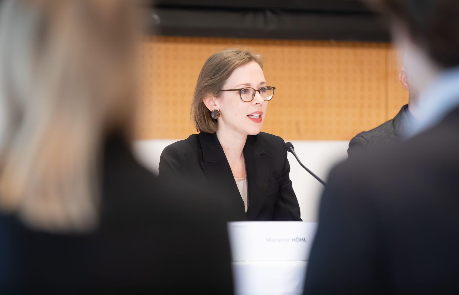 Am 27. April 2023 lud das Bundeskanzleramt anl&auml;sslich der Pr&auml;sentation des Berichts &bdquo;Gesellschaftlicher Zusammenhalt und Segregation &ndash; Eine Bestandsaufnahme zu Integration und Desintegration in &Ouml;sterreich&ldquo; zu einem Fachgespr&auml;ch mit Experten. Im Bild Marianne H&ouml;hl.