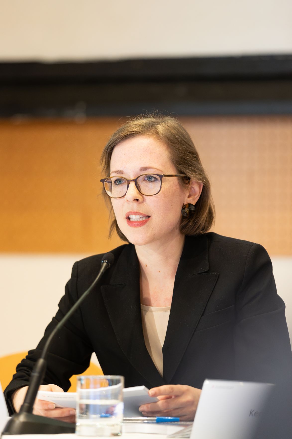 Am 27. April 2023 lud das Bundeskanzleramt anl&auml;sslich der Pr&auml;sentation des Berichts &bdquo;Gesellschaftlicher Zusammenhalt und Segregation &ndash; Eine Bestandsaufnahme zu Integration und Desintegration in &Ouml;sterreich&ldquo; zu einem Fachgespr&auml;ch mit Experten. Im Bild Marianne H&ouml;hl.