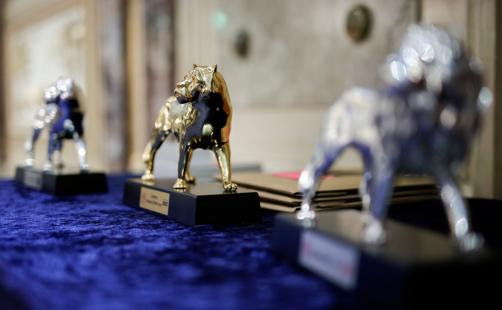 Am 5. November 2019 verlieh Bundeskanzlerin Brigitte Bierlein den MedienL&Ouml;WINNEN 2019.