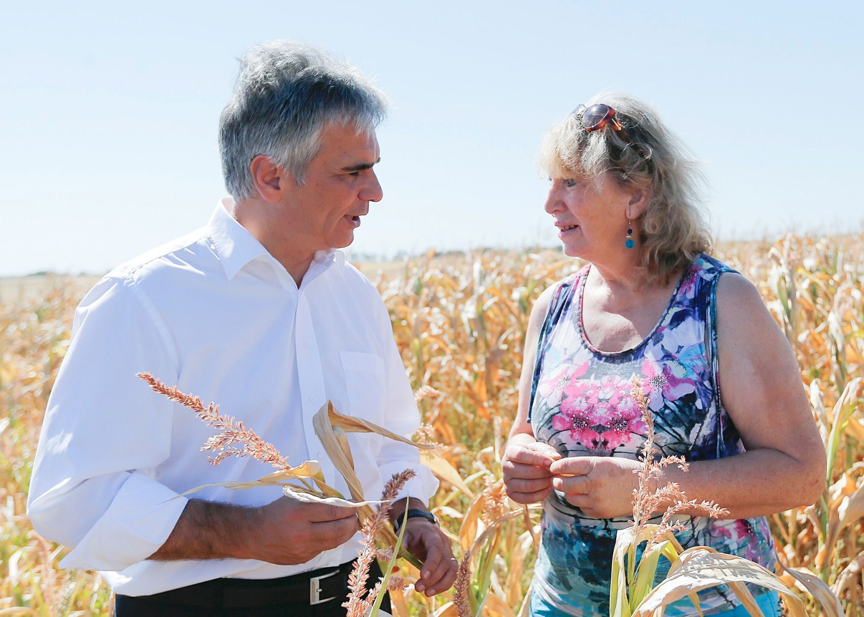 Am 2. August 2013 machte sich Bundeskanzler Werner Faymann (l.) in Zurndorf, Burgenland ein Bild &uuml;ber die D&uuml;rresch&auml;den. Im Bild mit der B&auml;uerin Elisabeth Meixner (r.) beim Lokalaugenschein eines Kukuruzfeldes.