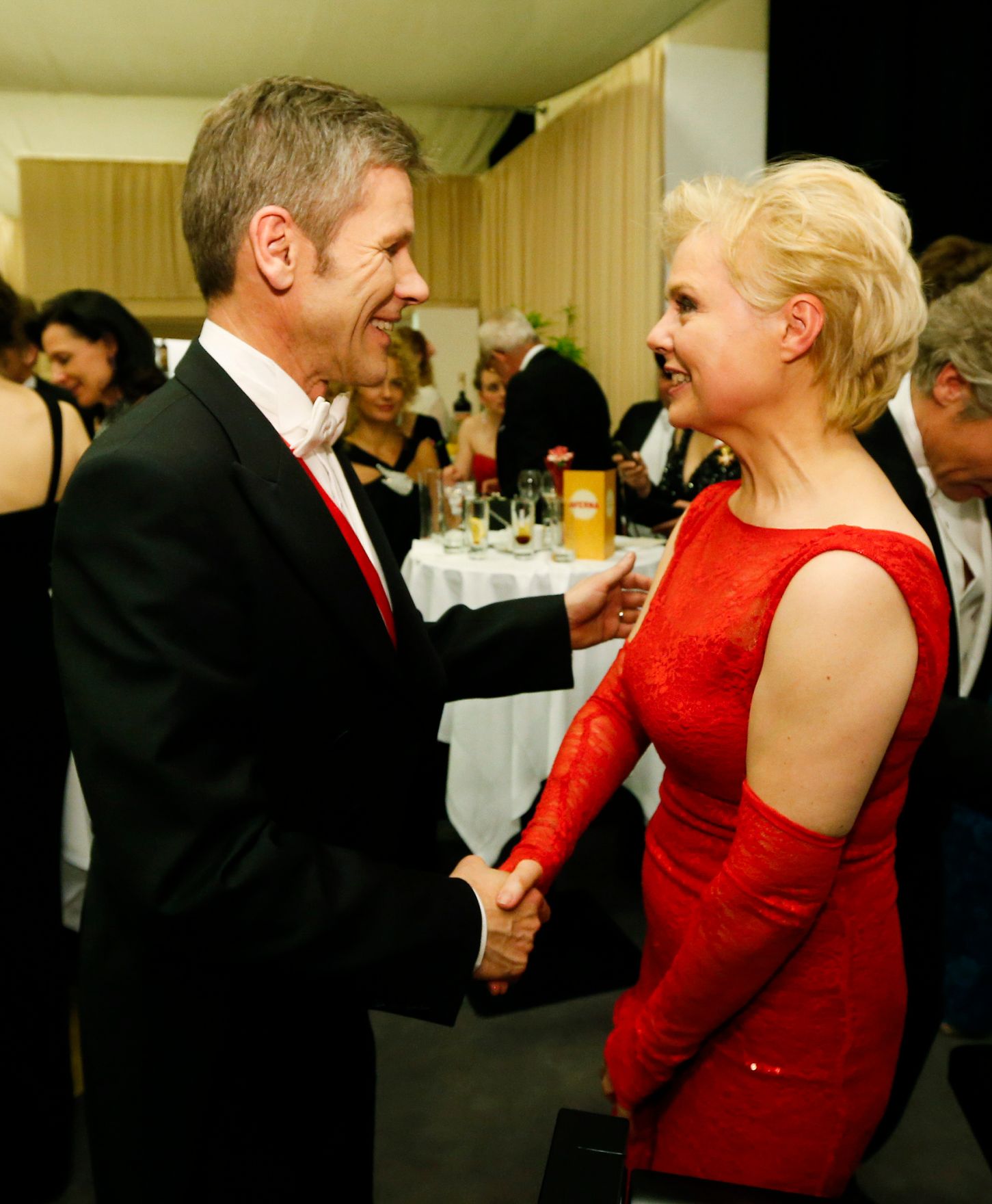 Am 27. Februar 2014 besuchte Kanzleramtsminister Josef Ostermayer den Wiener Opernball.
