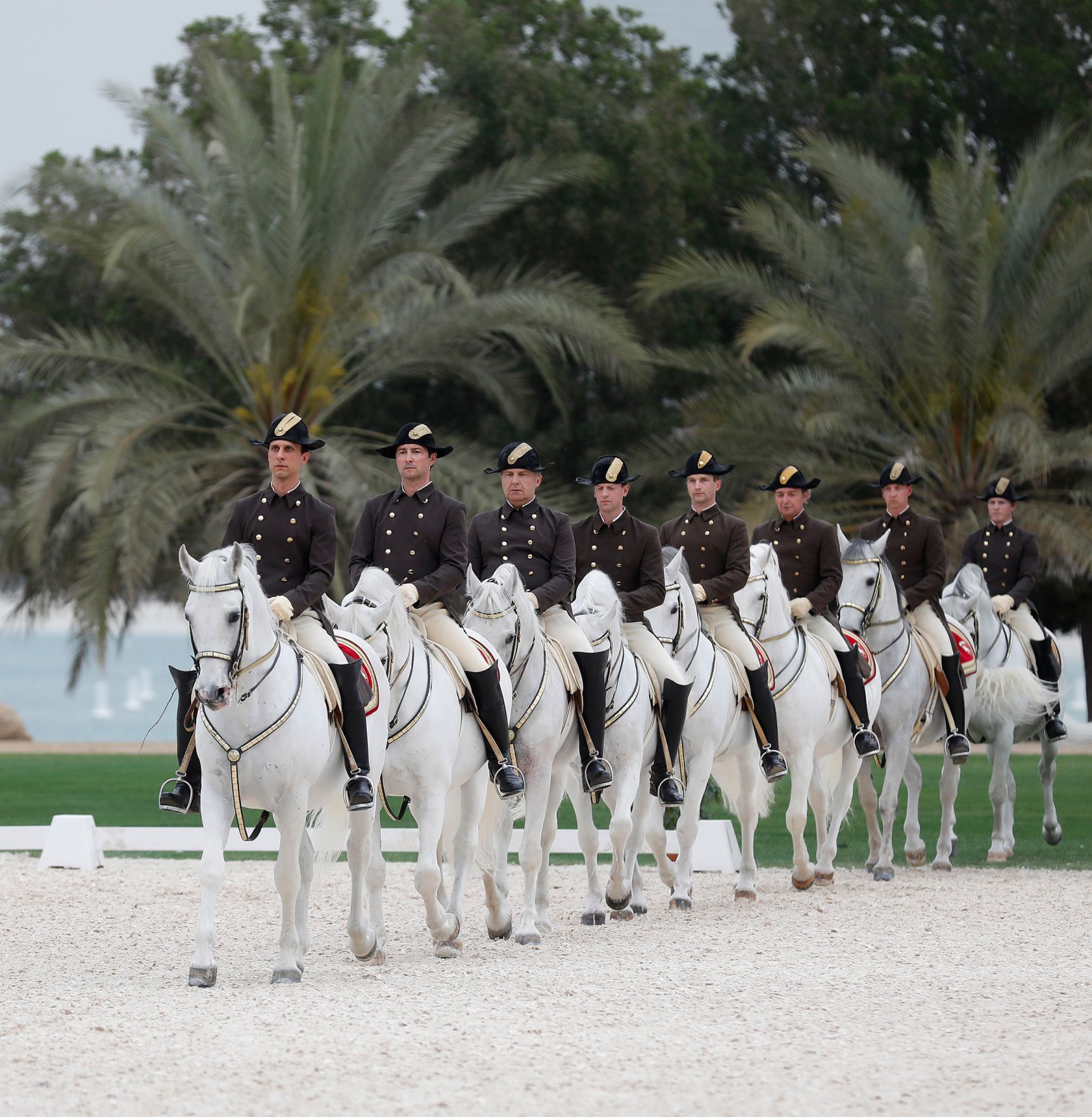 Am 23. M&auml;rz 2019 fand die Arbeitsreise von Bundeskanzler Sebastian Kurz in den Vereinigten Arabischen Emiraten statt. Im Bild bei einer &Uuml;bergabe eines Lippizzaners an Kronprinz Mohammed bin Zayed Al Nahyan.